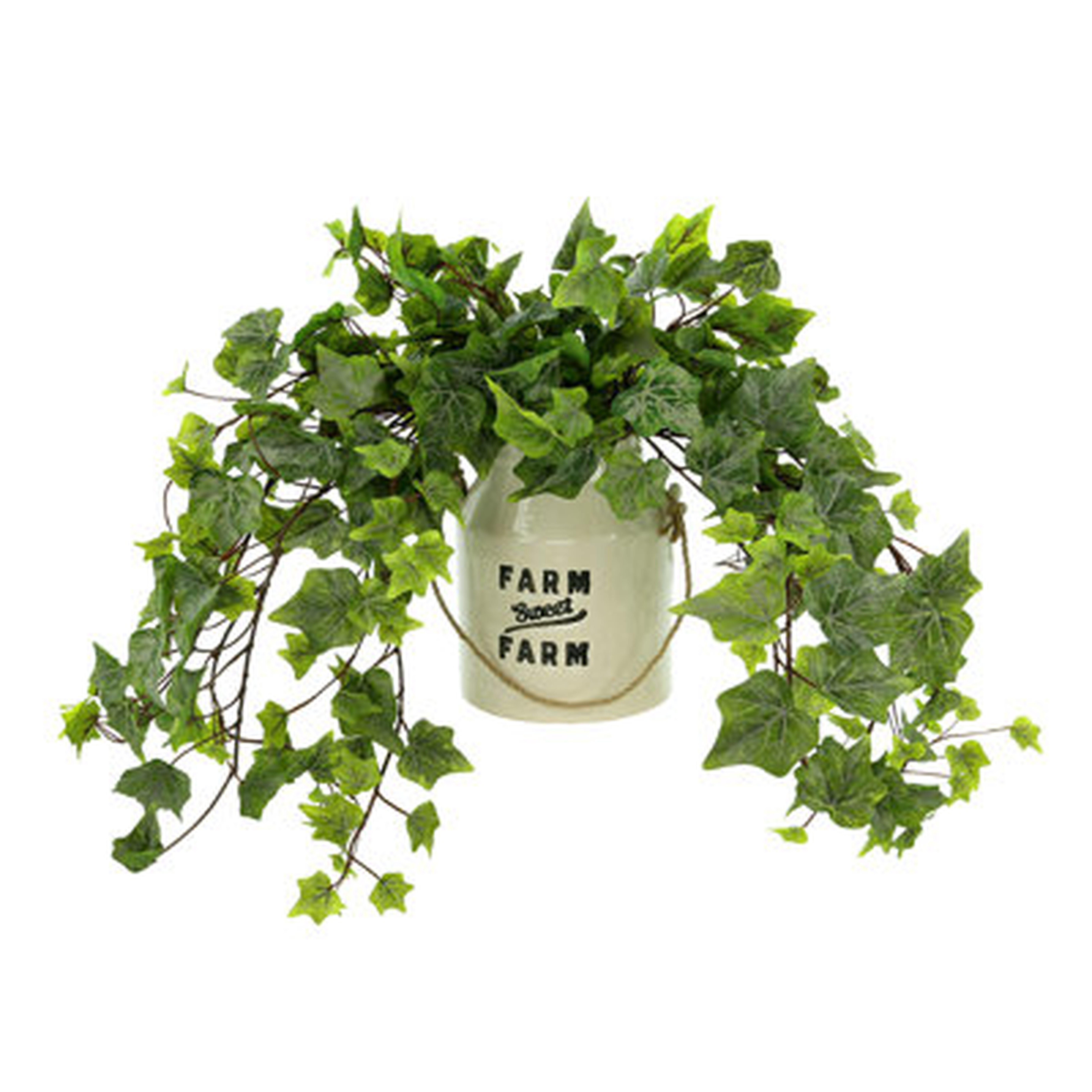 Ivy Arrangement In A Ceramic Pot - Wayfair