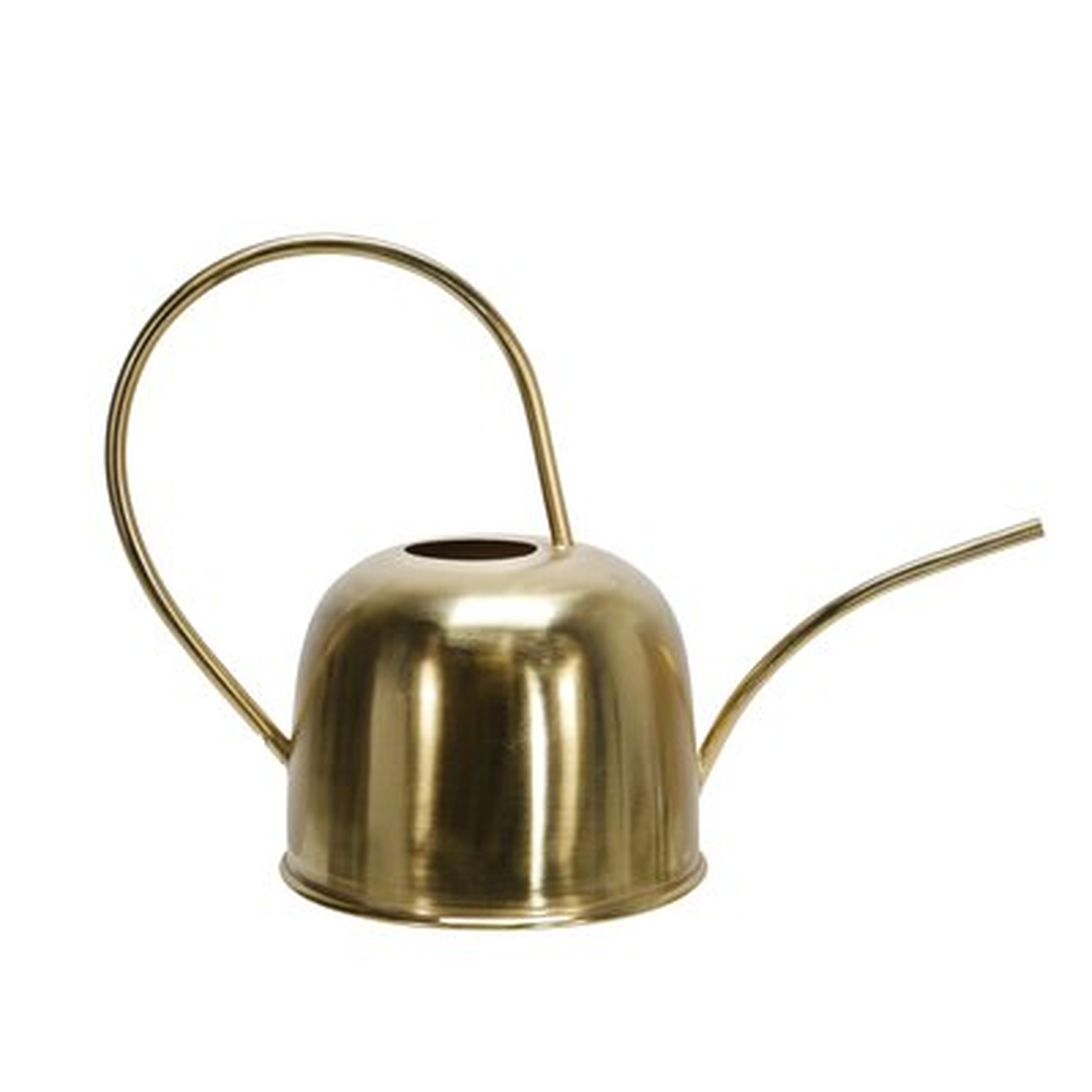 Fearn Watering Can Sculpture - Wayfair