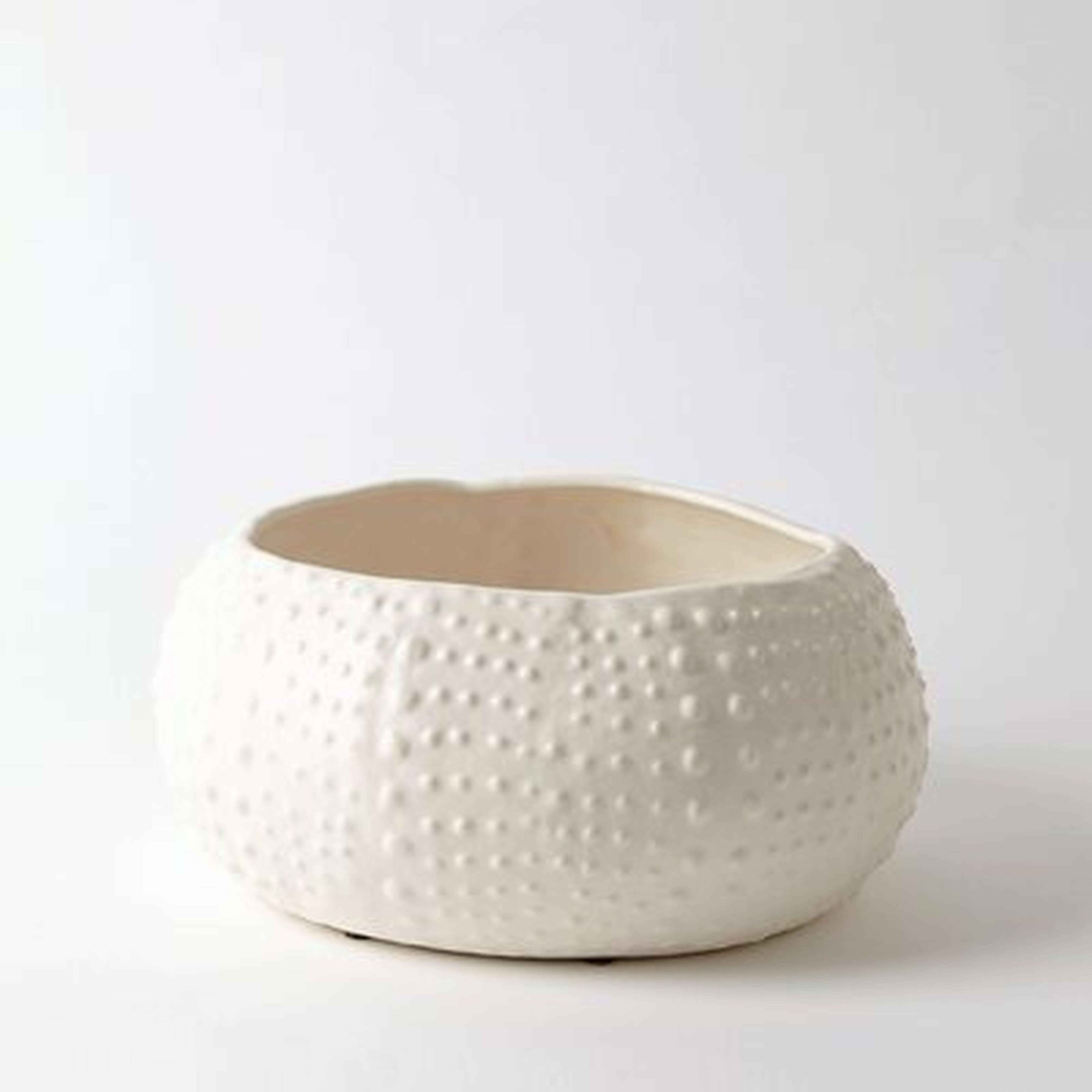 Ceramic Farmhouse Decorative Bowl in White - Birch Lane