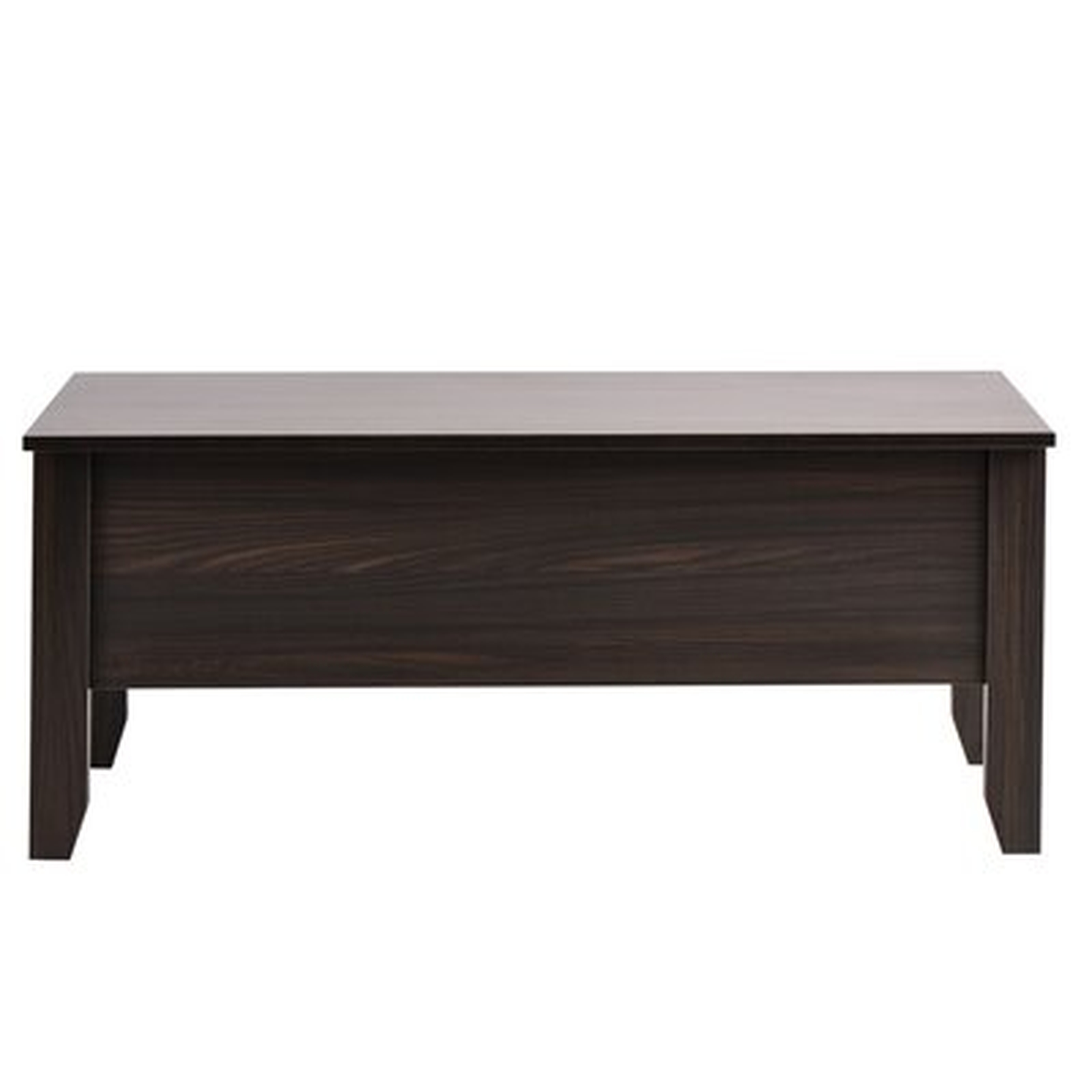 Modern Lift-Top Coffee Table With Storage, Sofa Table - Wayfair