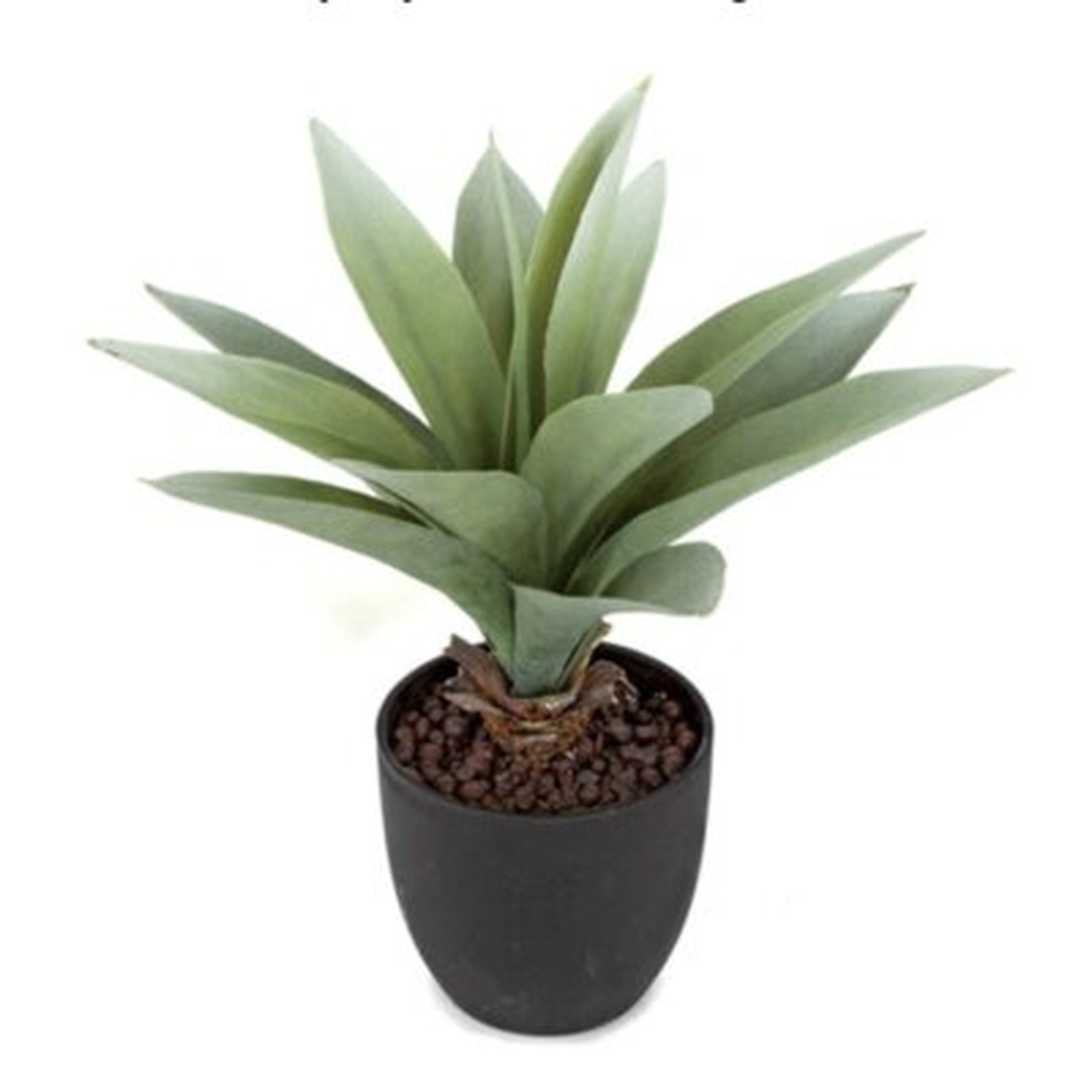 10" Potted Agave Plant - Wayfair