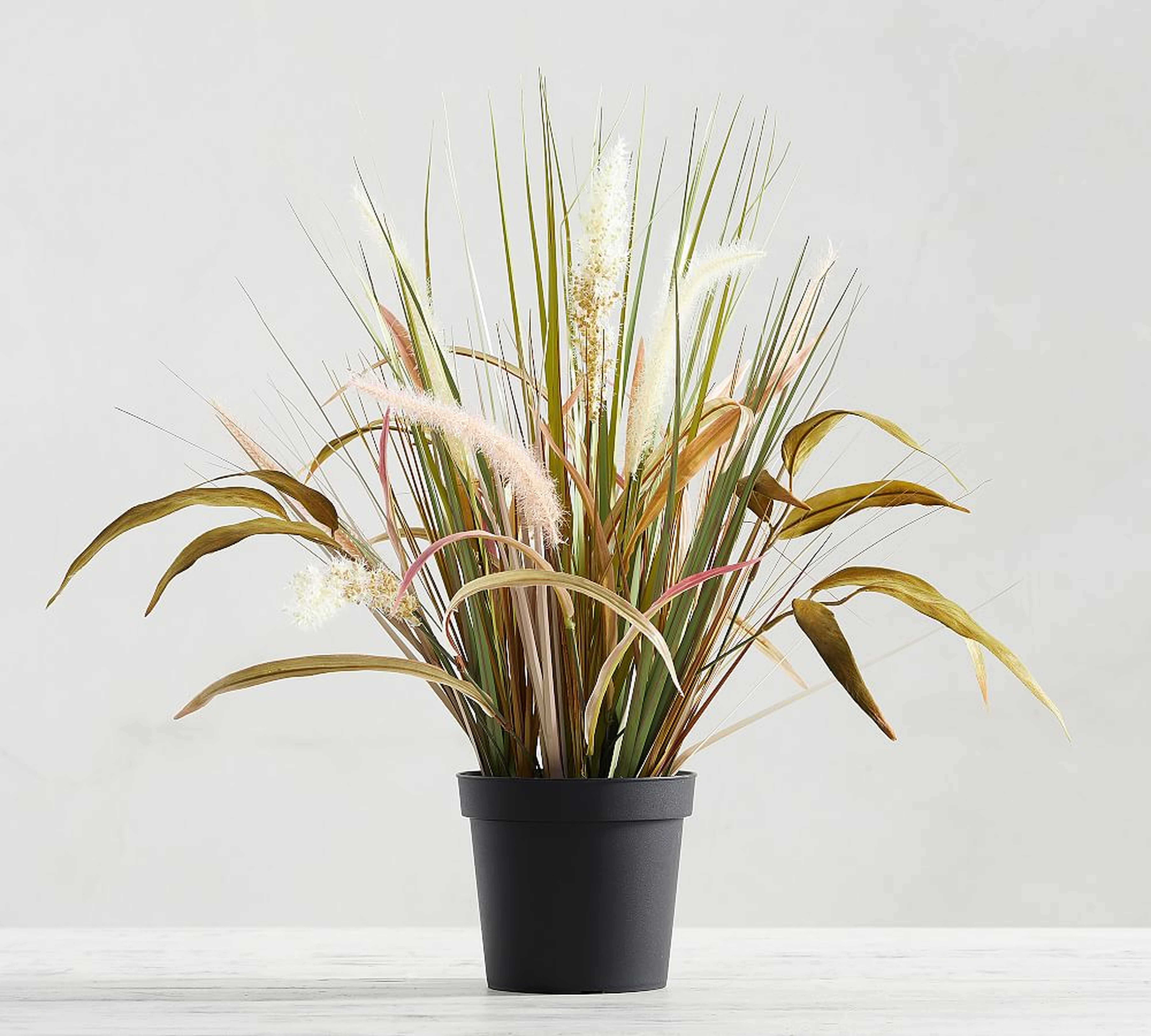 Faux Potted Wild Grass, Natural - Medium - Pottery Barn