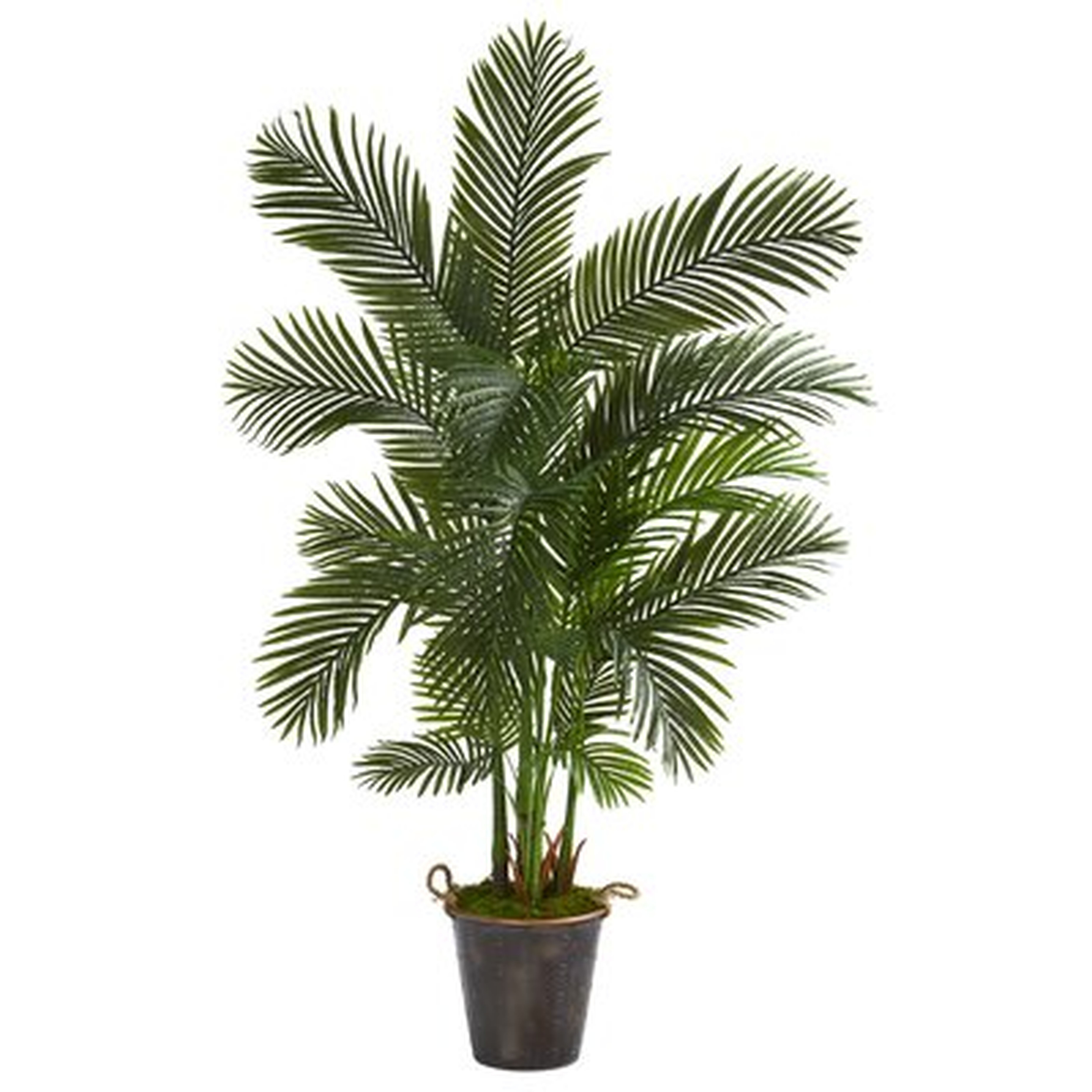 Palm Tree - Wayfair