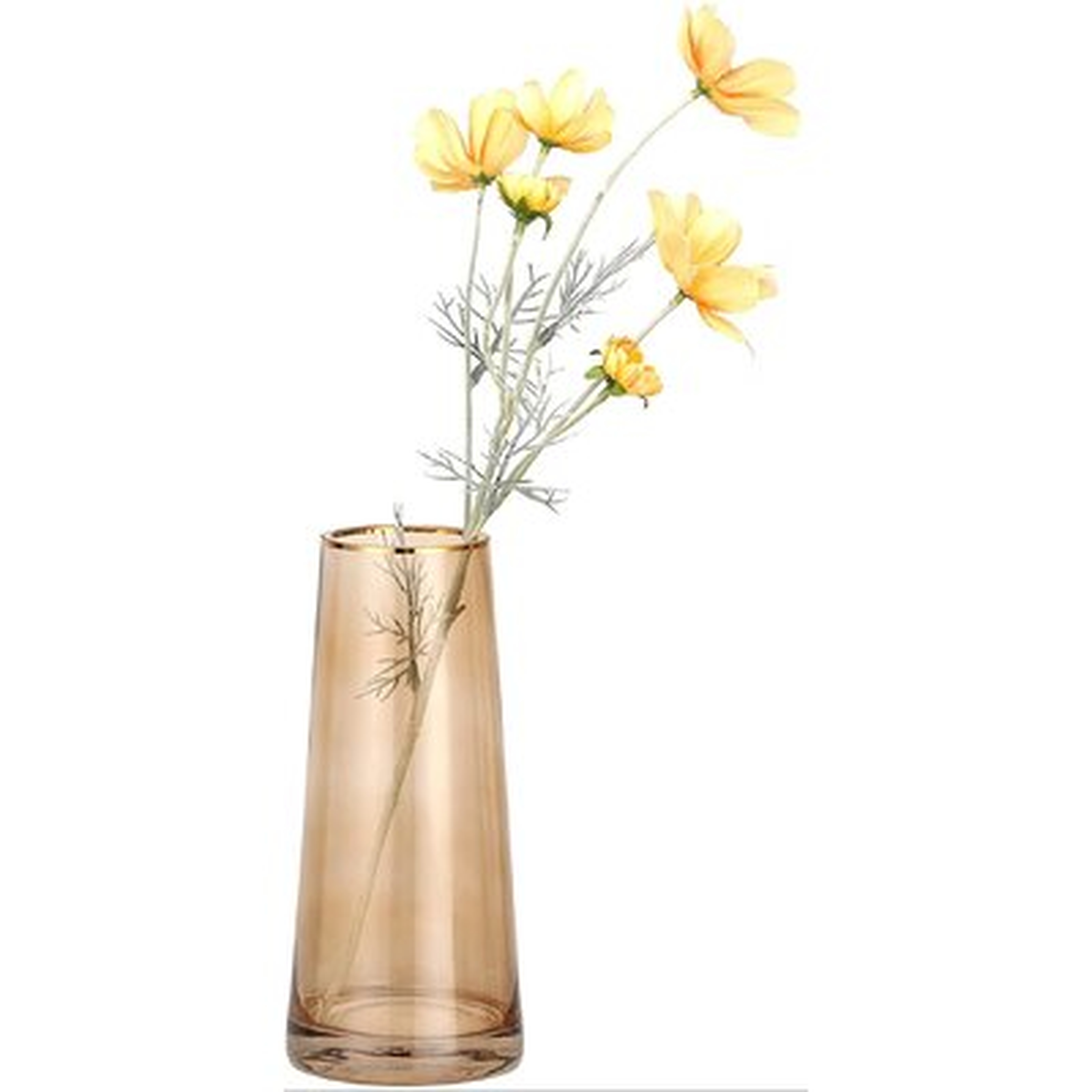 Glass Vase, 8.7 Inch Ins Style Clear Floral Decorative Container Vase With Golden Rim, Flower Plant Modern Glass Vase For Home Or Office Decor, Gift For Wedding Christmas, - Wayfair