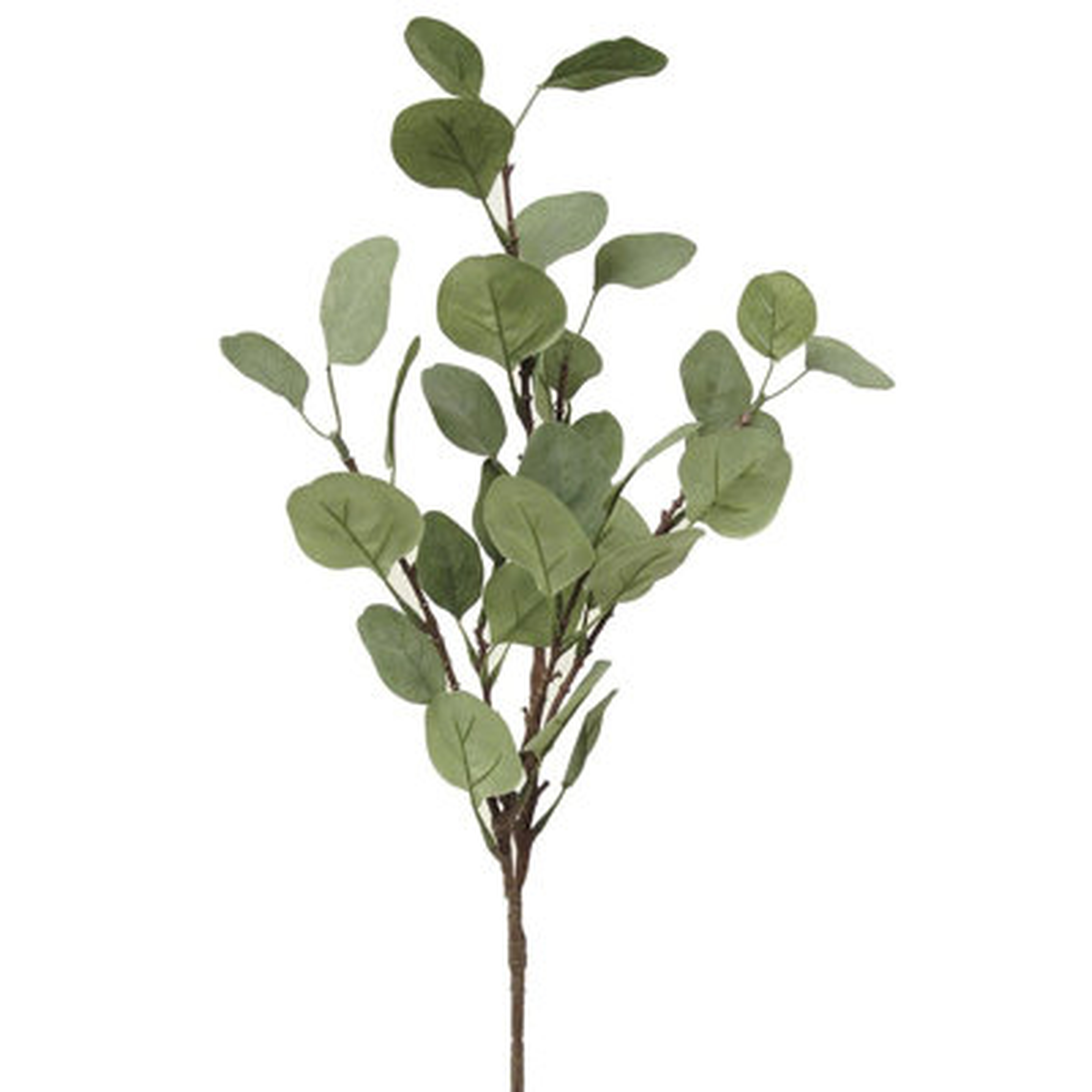 26'' Faux Eucalyptus Branch - Wayfair