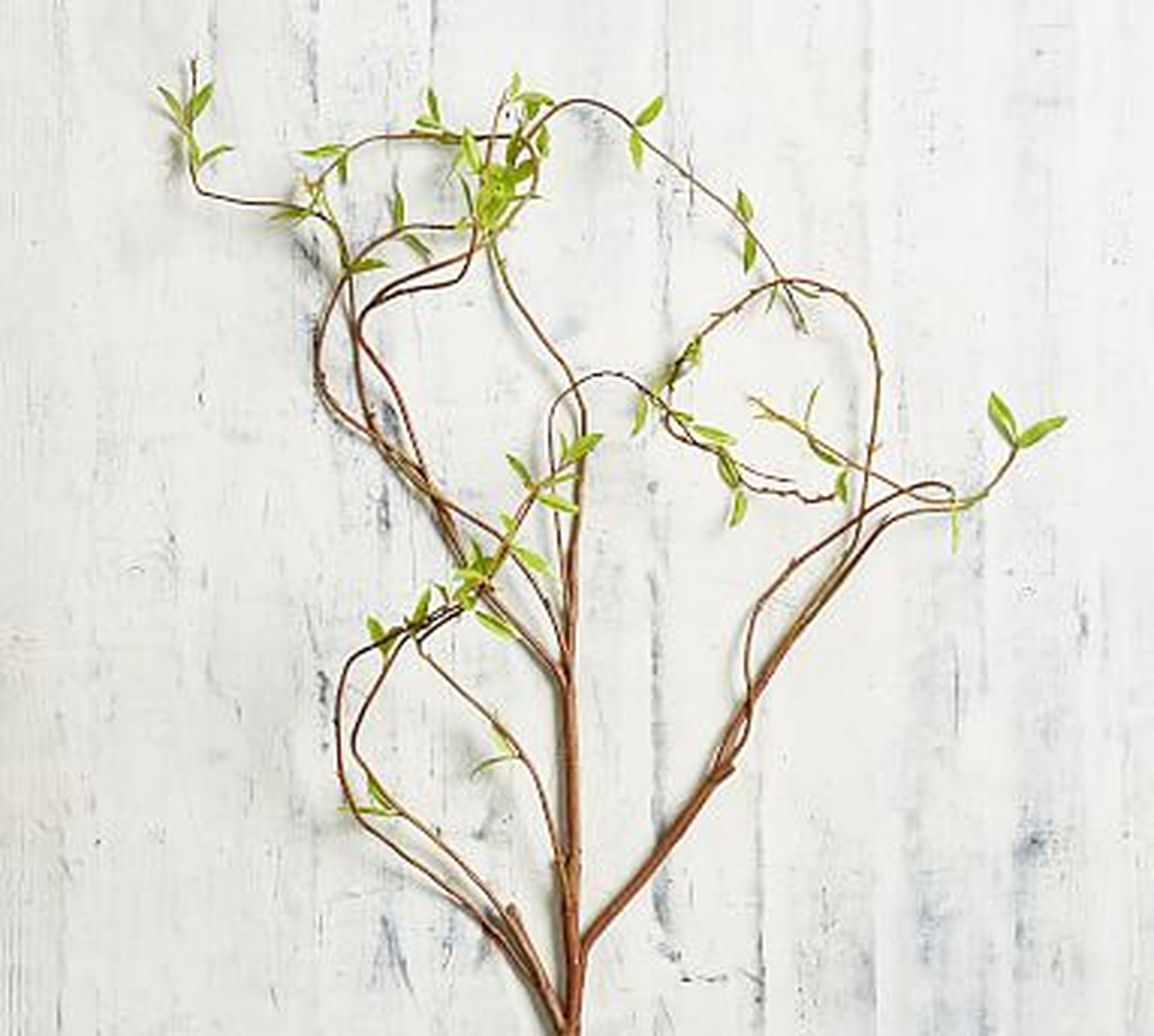 Faux Curling Willow Branch, Green - Pottery Barn