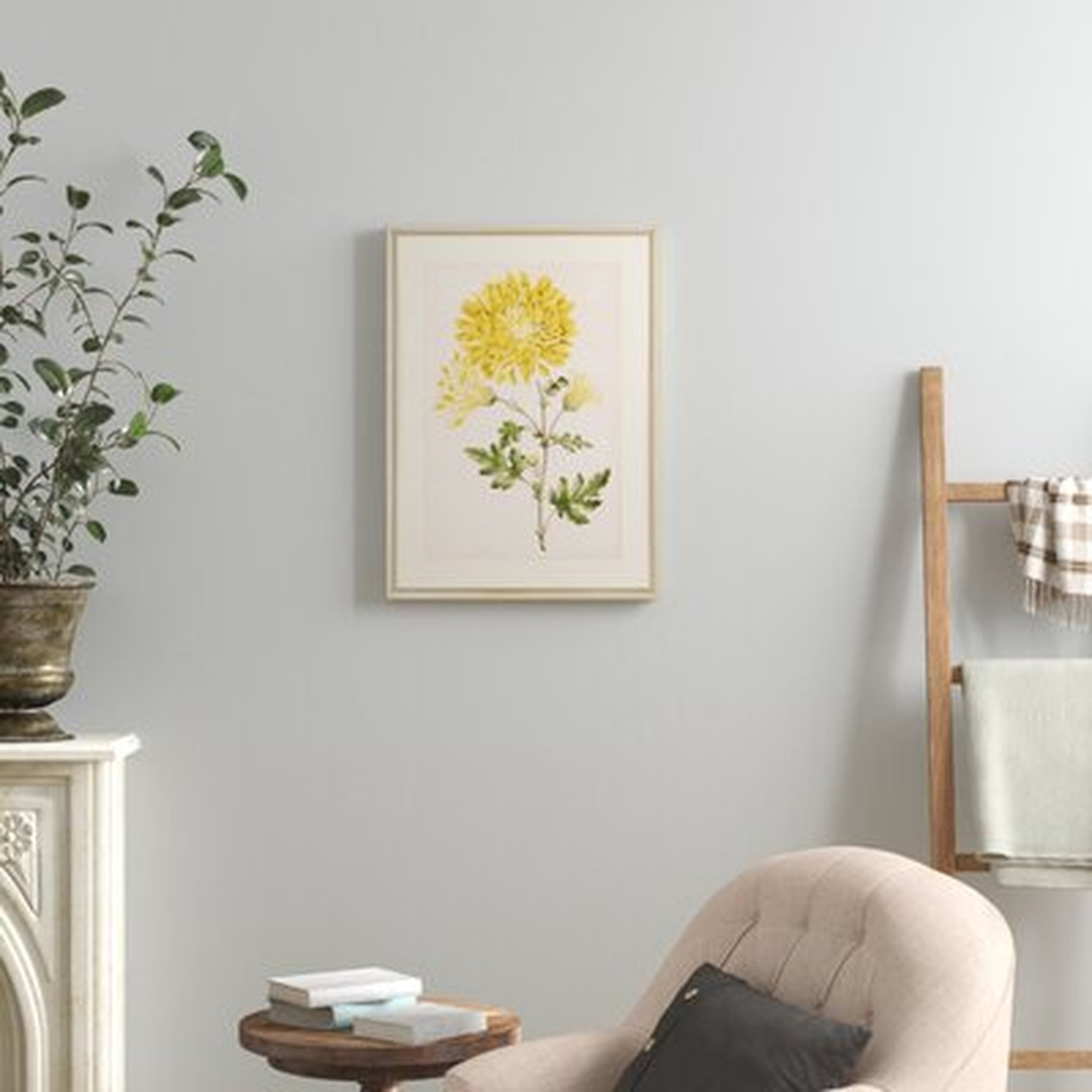 'Floral Lace IV' Picture Frame Print - Birch Lane
