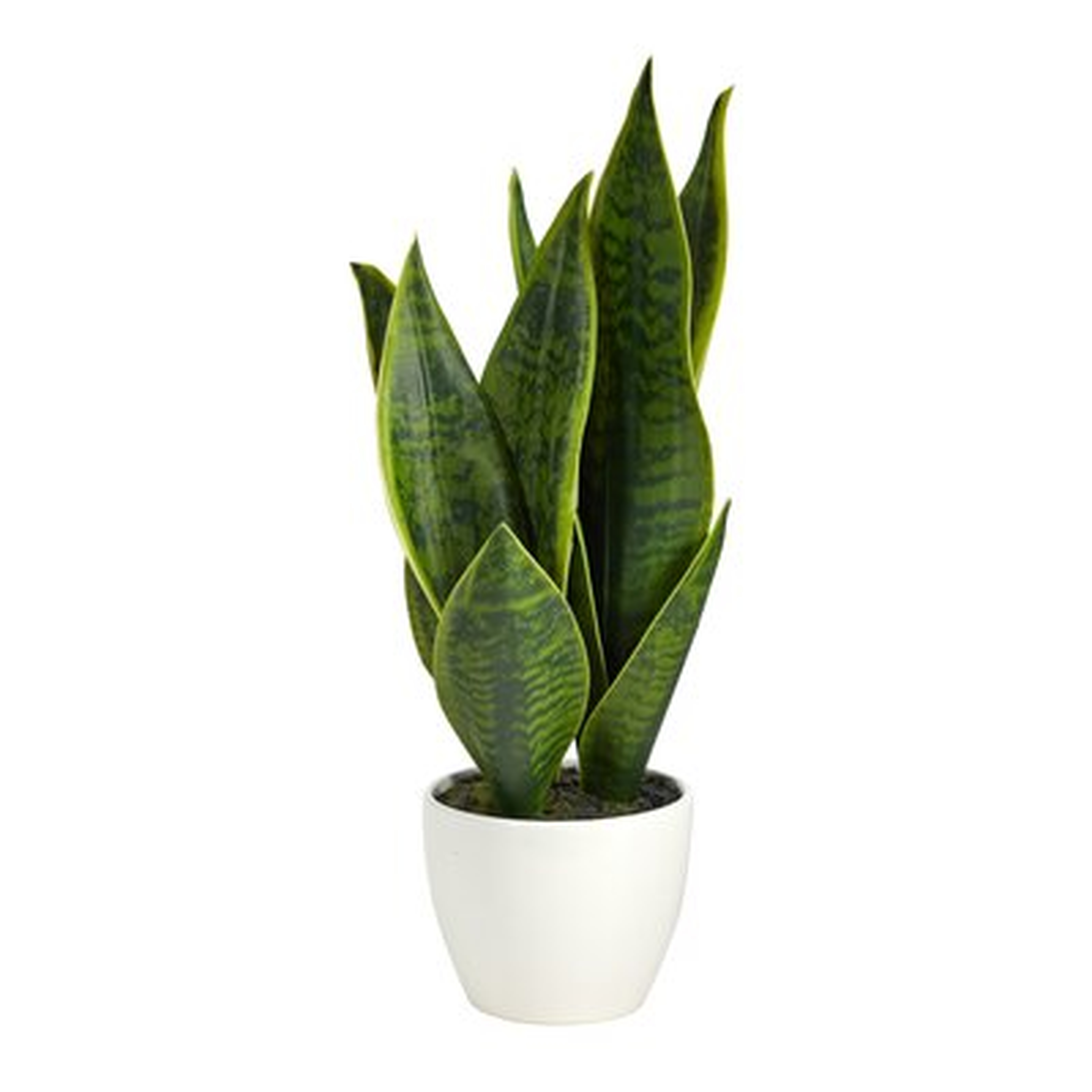 16In. Sansevieria Artificial Plant - Wayfair