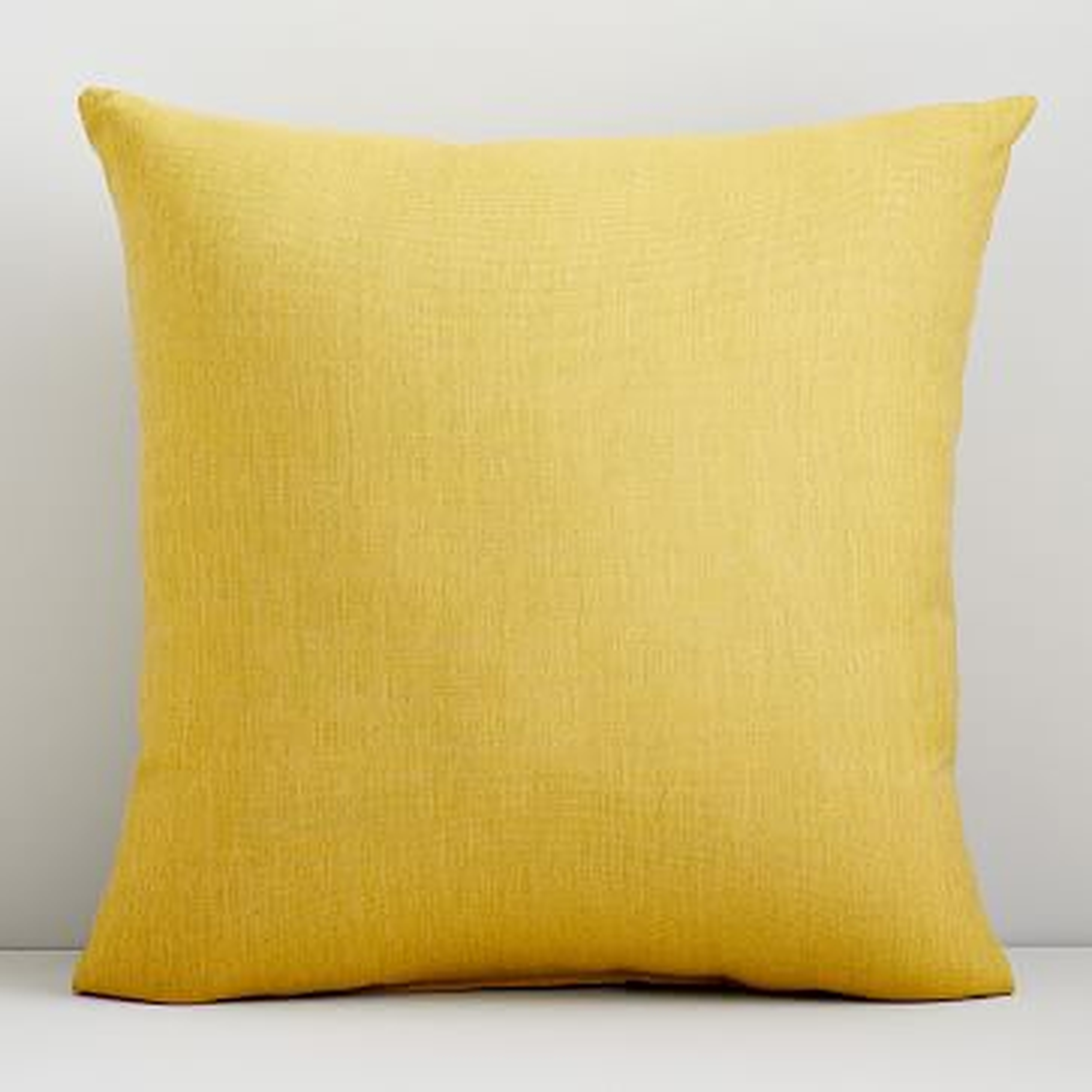 Sunbrella Indoor/Outdoor Cast Pillow, 20"x20", Citrus - West Elm