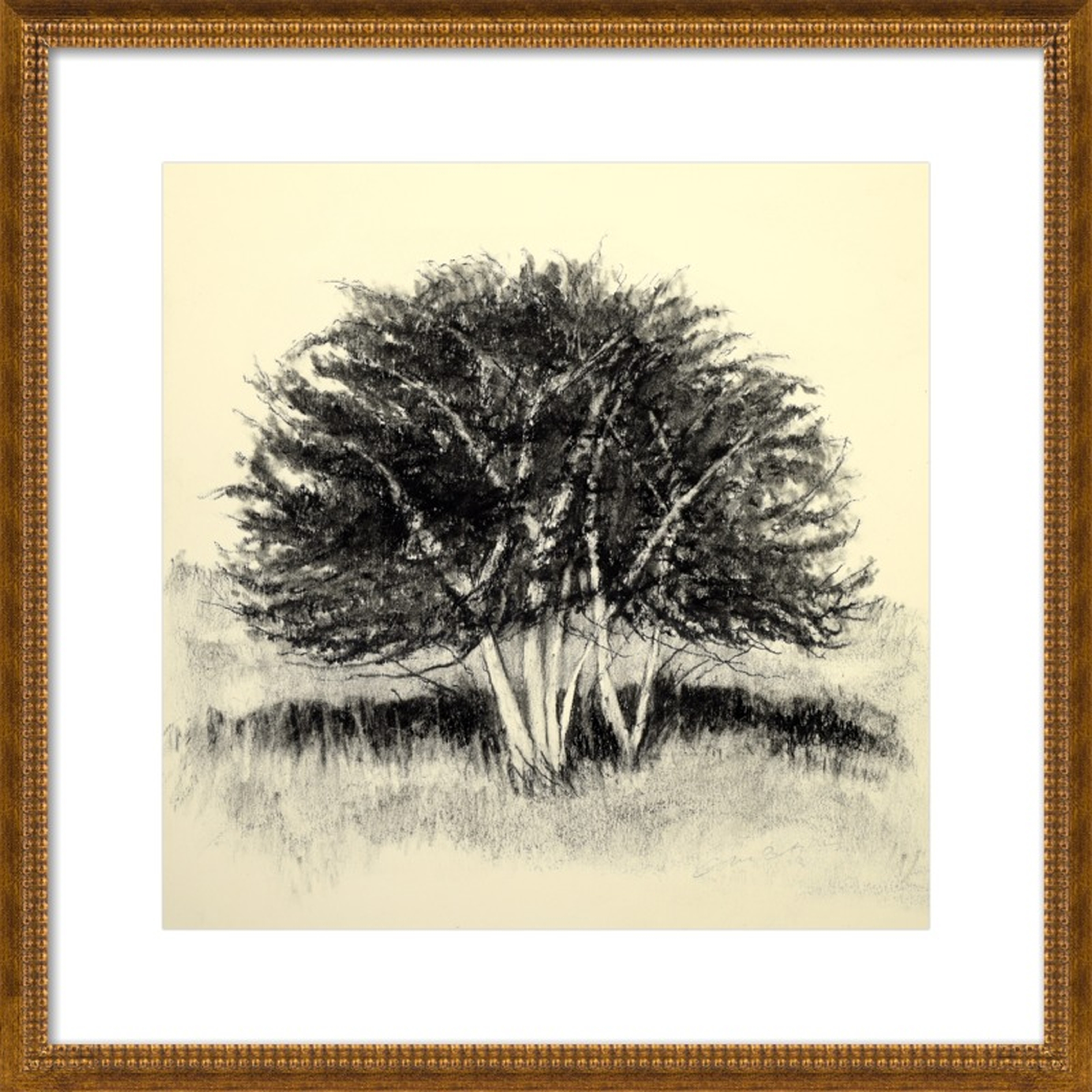 Old Apple Tree by Rich Gombar for Artfully Walls - Artfully Walls