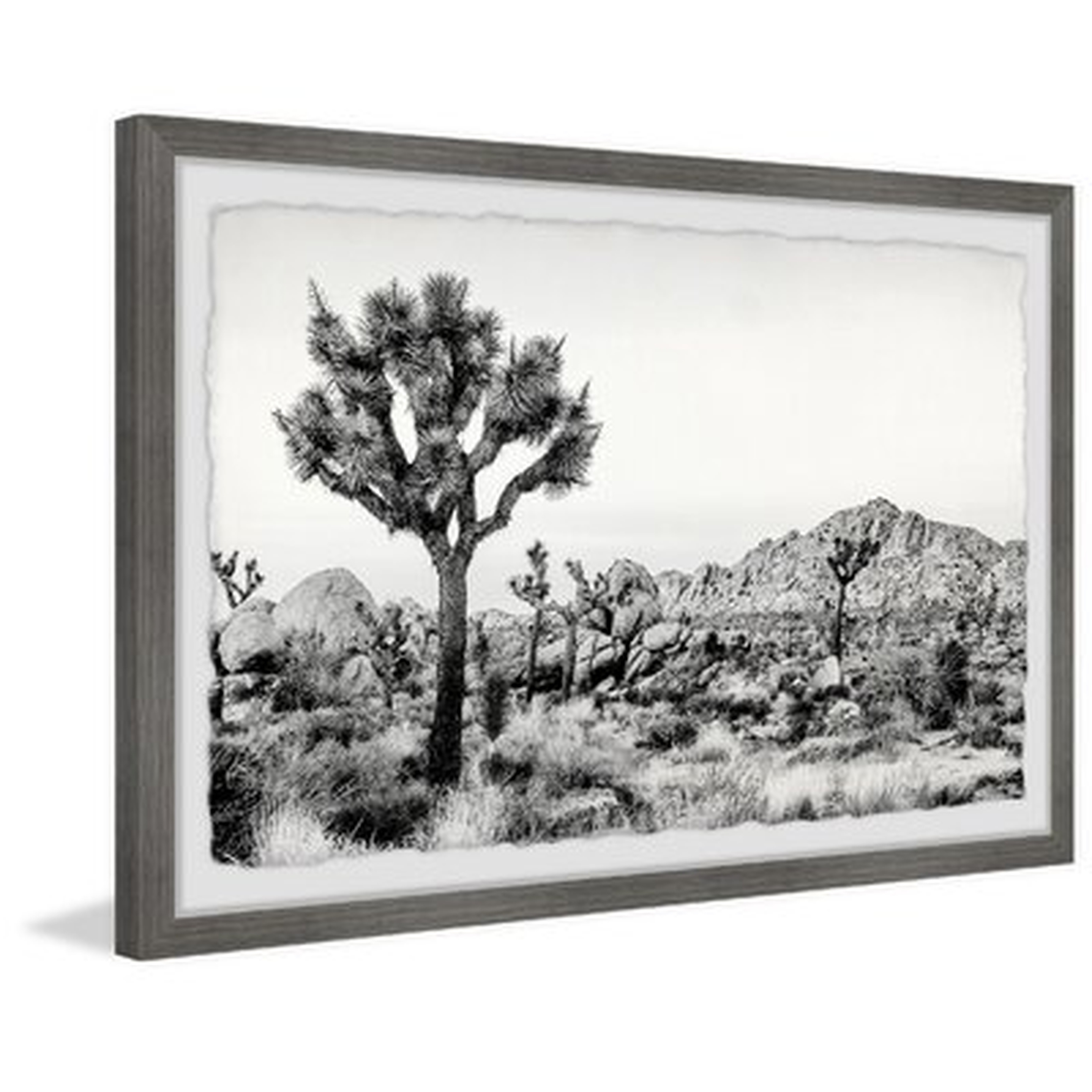 Joshua Tree National Park' - Picture Frame Print on Paper - Wayfair