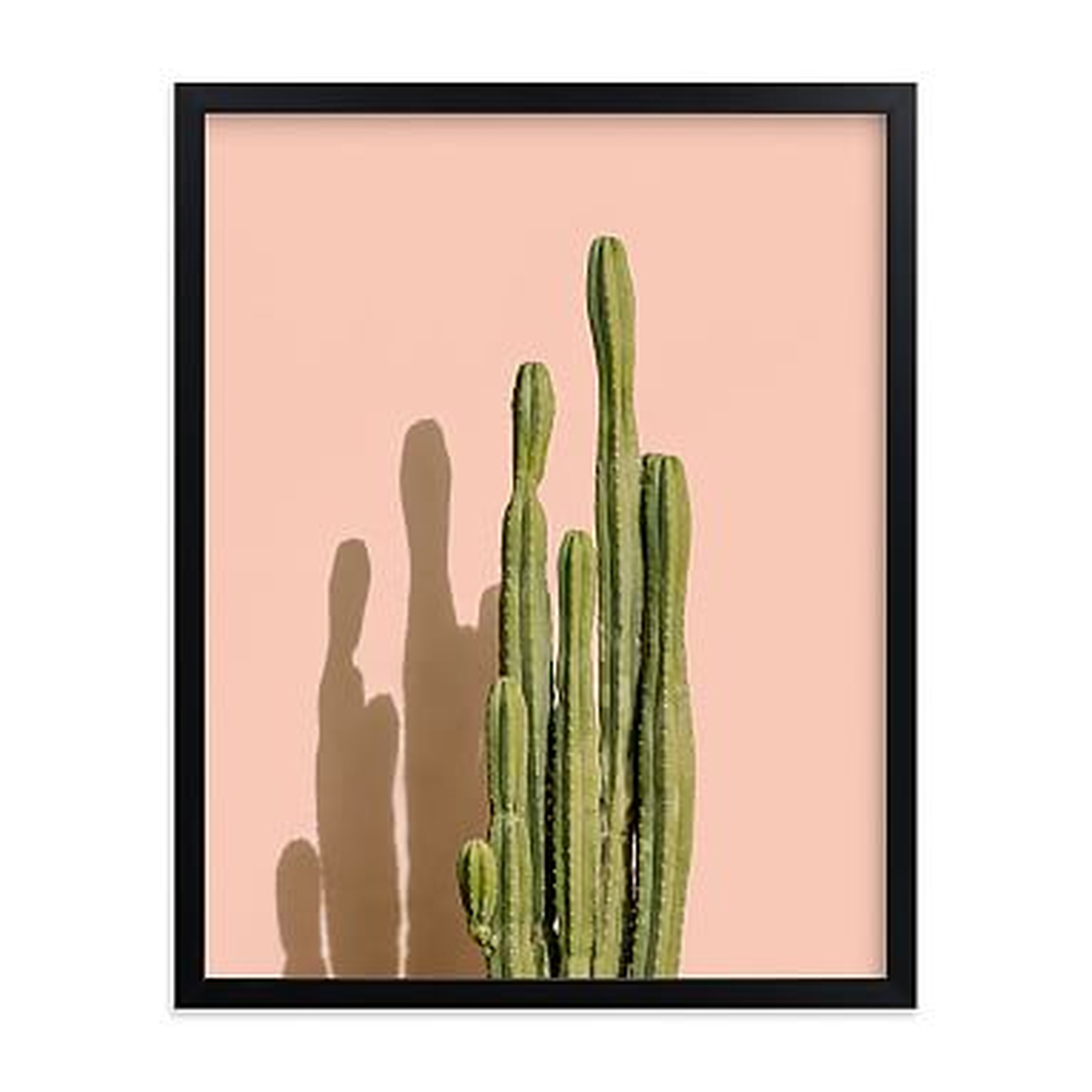 Palm Desert Cactus Framed Art by Minted(R), Black, 11x14 - Pottery Barn Teen