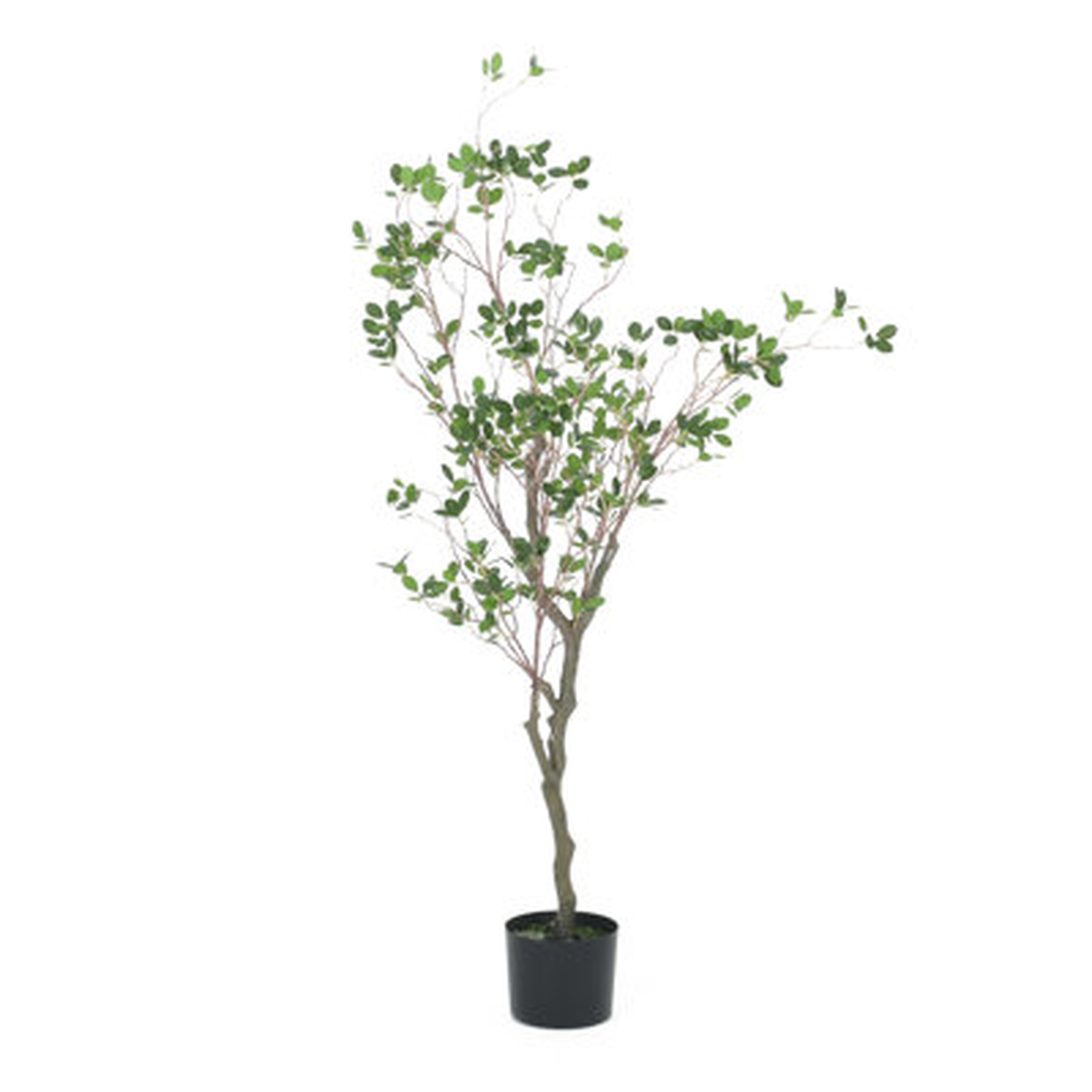 Purling Artificial Leaf Tree - Wayfair