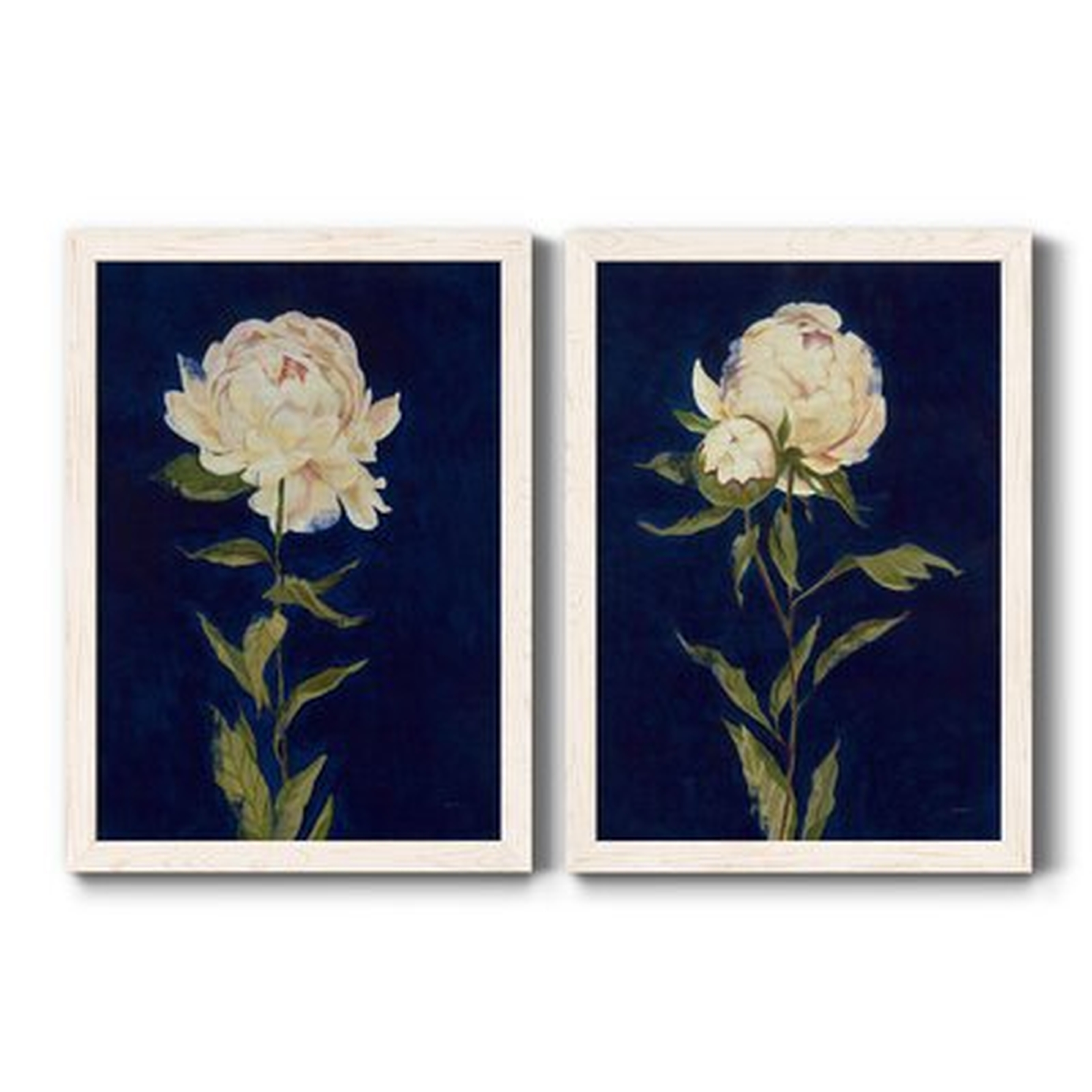 PRETTY AS A PEONY I - 2 Piece Picture Frame Print Set on Canvas - Wayfair