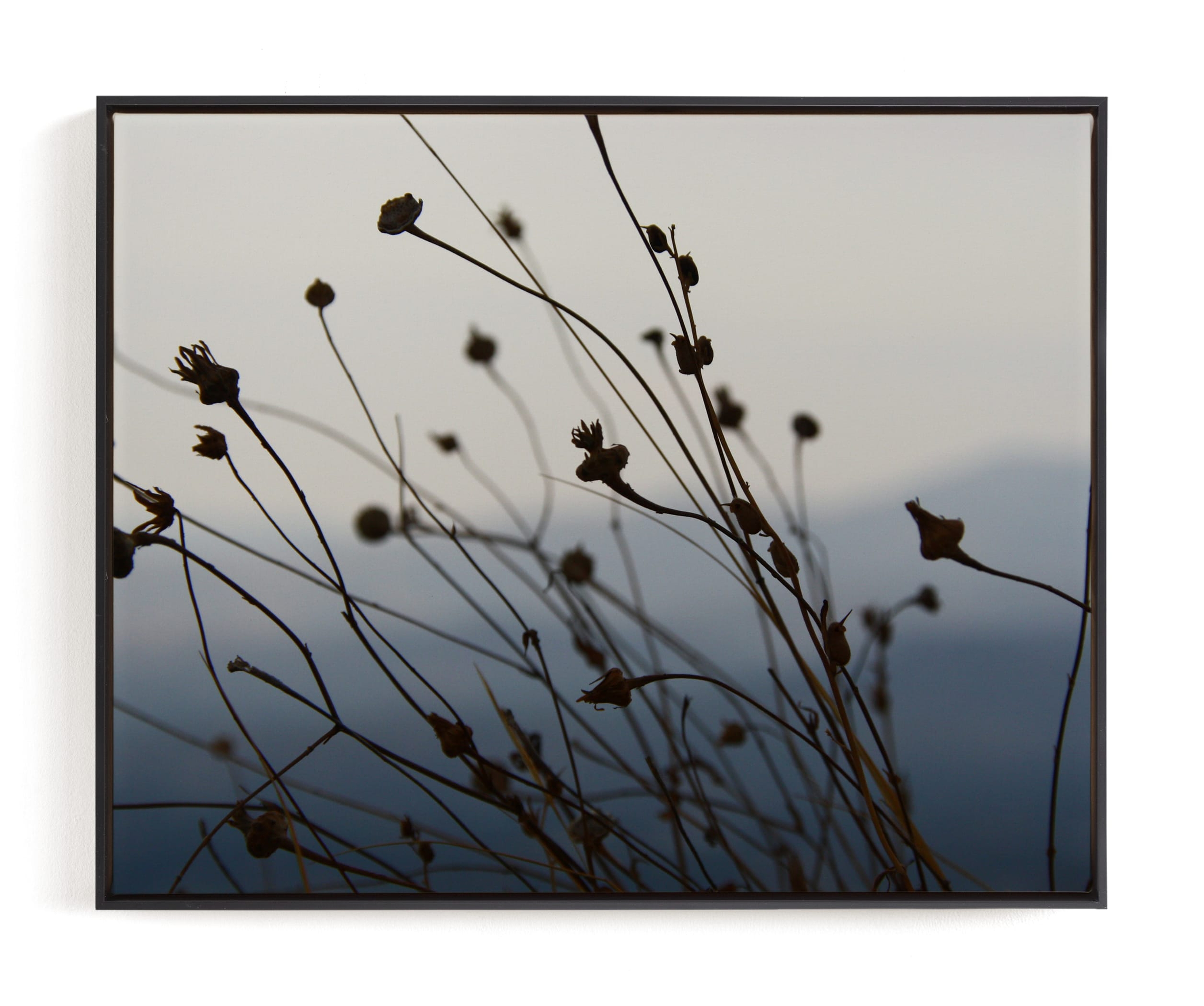 Sway Limited Edition Art Print - Minted