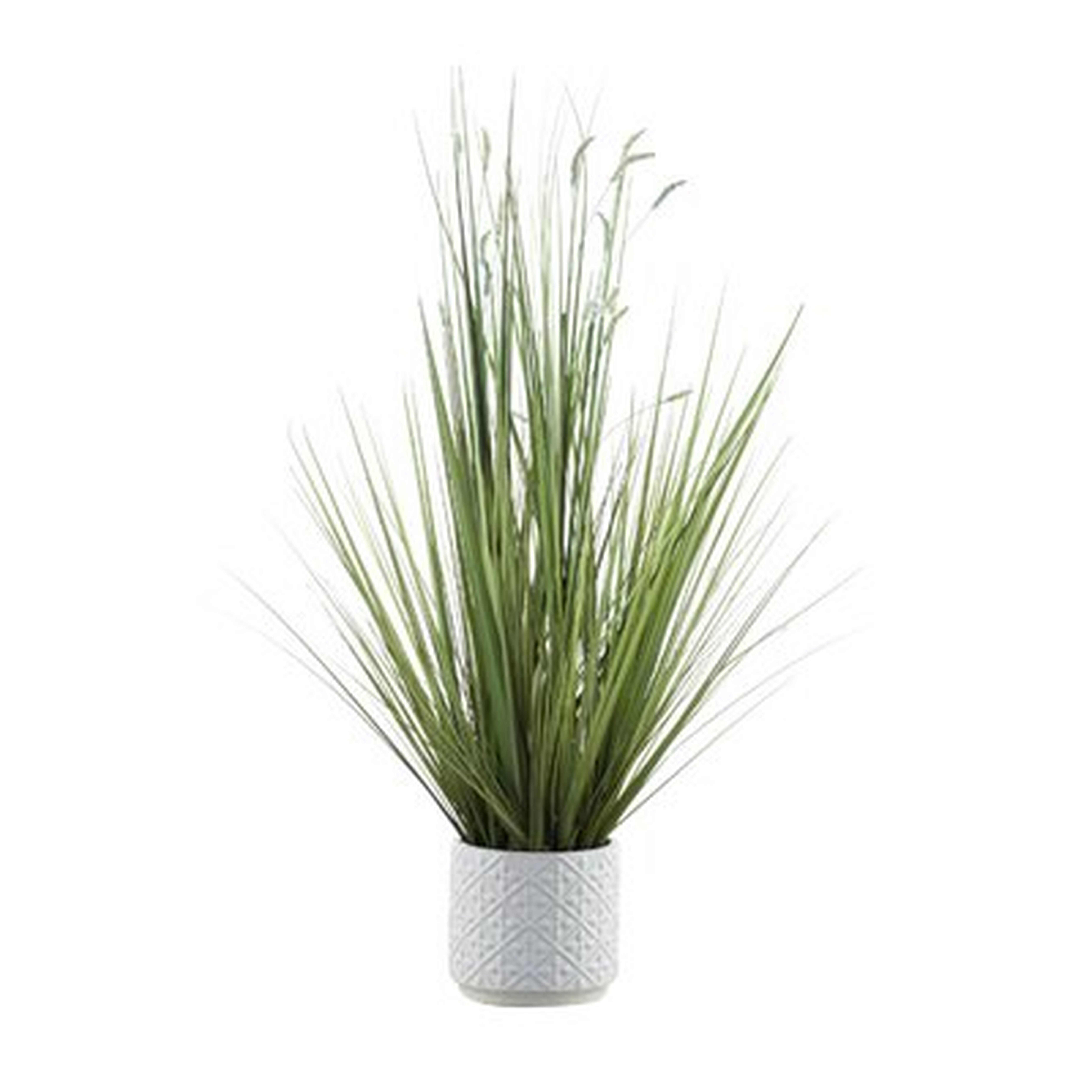 28.2'' Artificial Onion Grass Plant in Pot - Wayfair