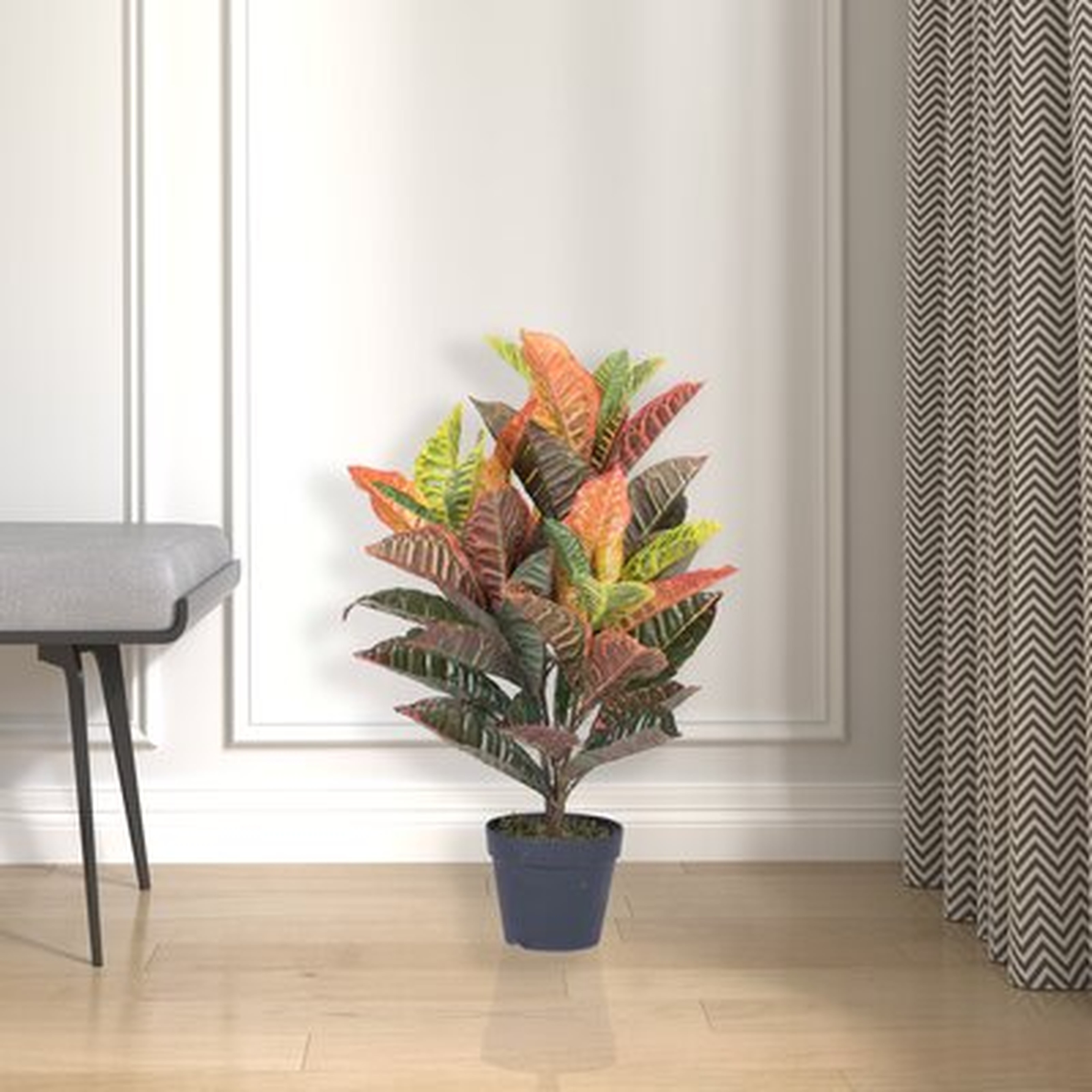 Croton Tree in Pot - Wayfair