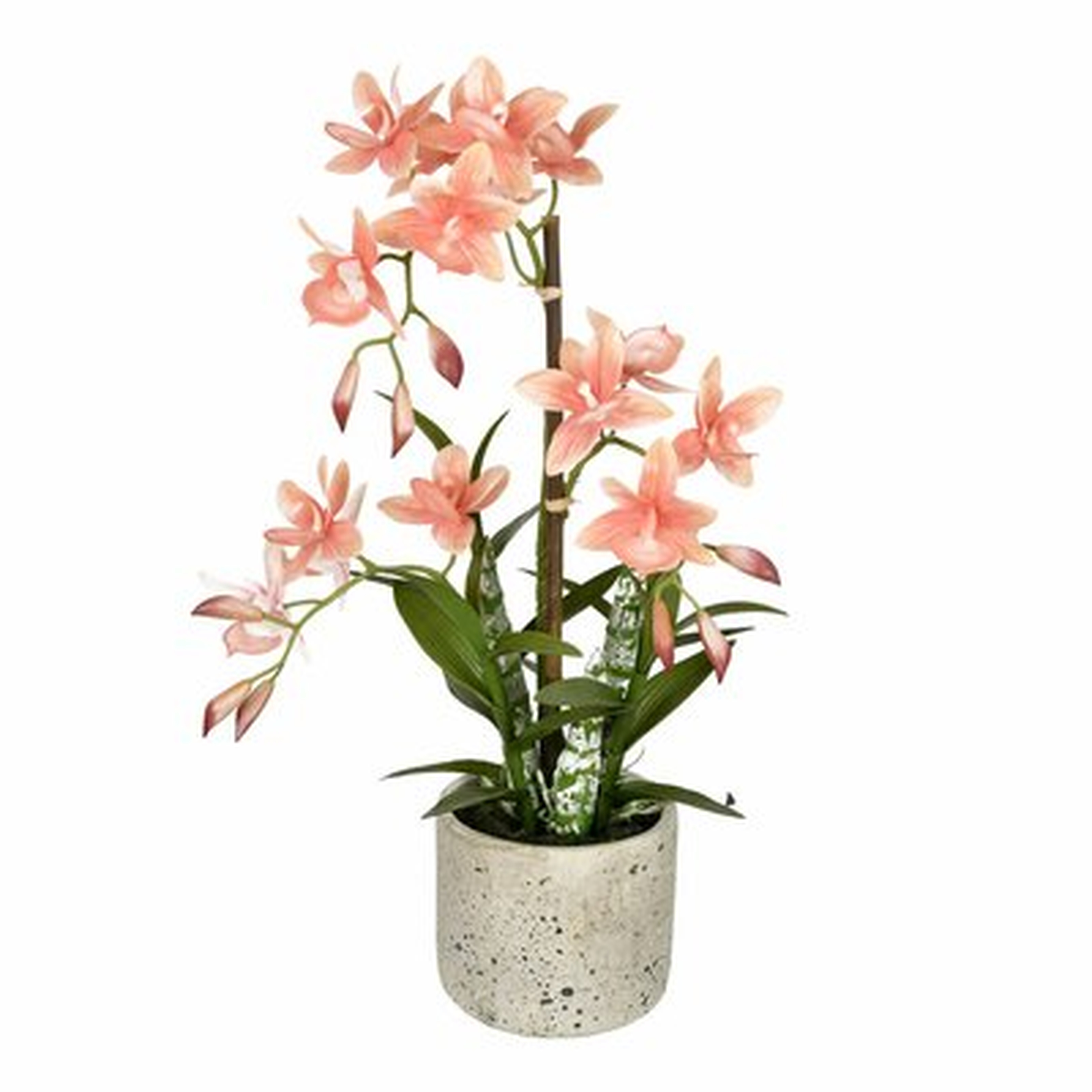 Artificial Cycnoches Plant in Pot - Wayfair