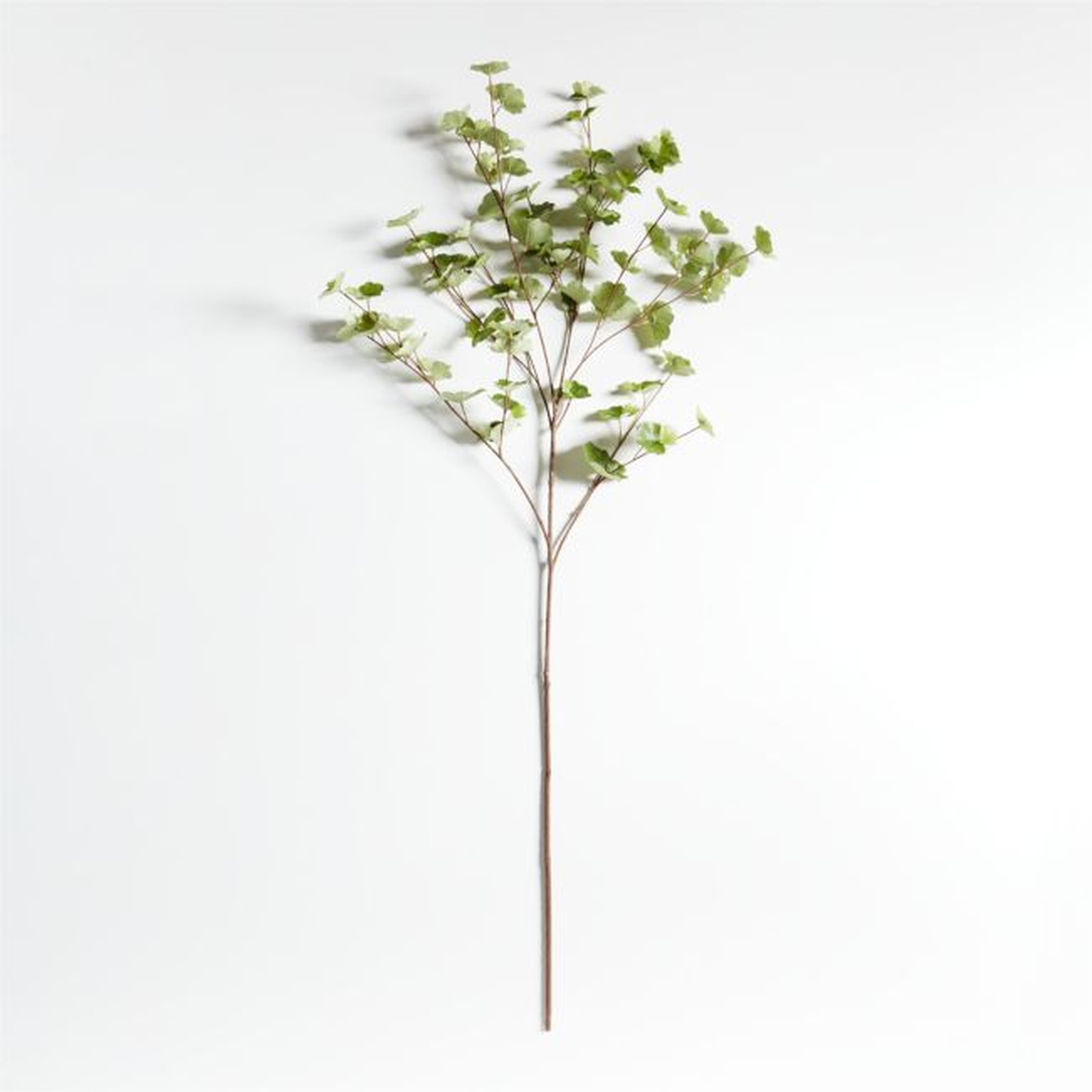 Faux Herb Branch 40" - Crate and Barrel