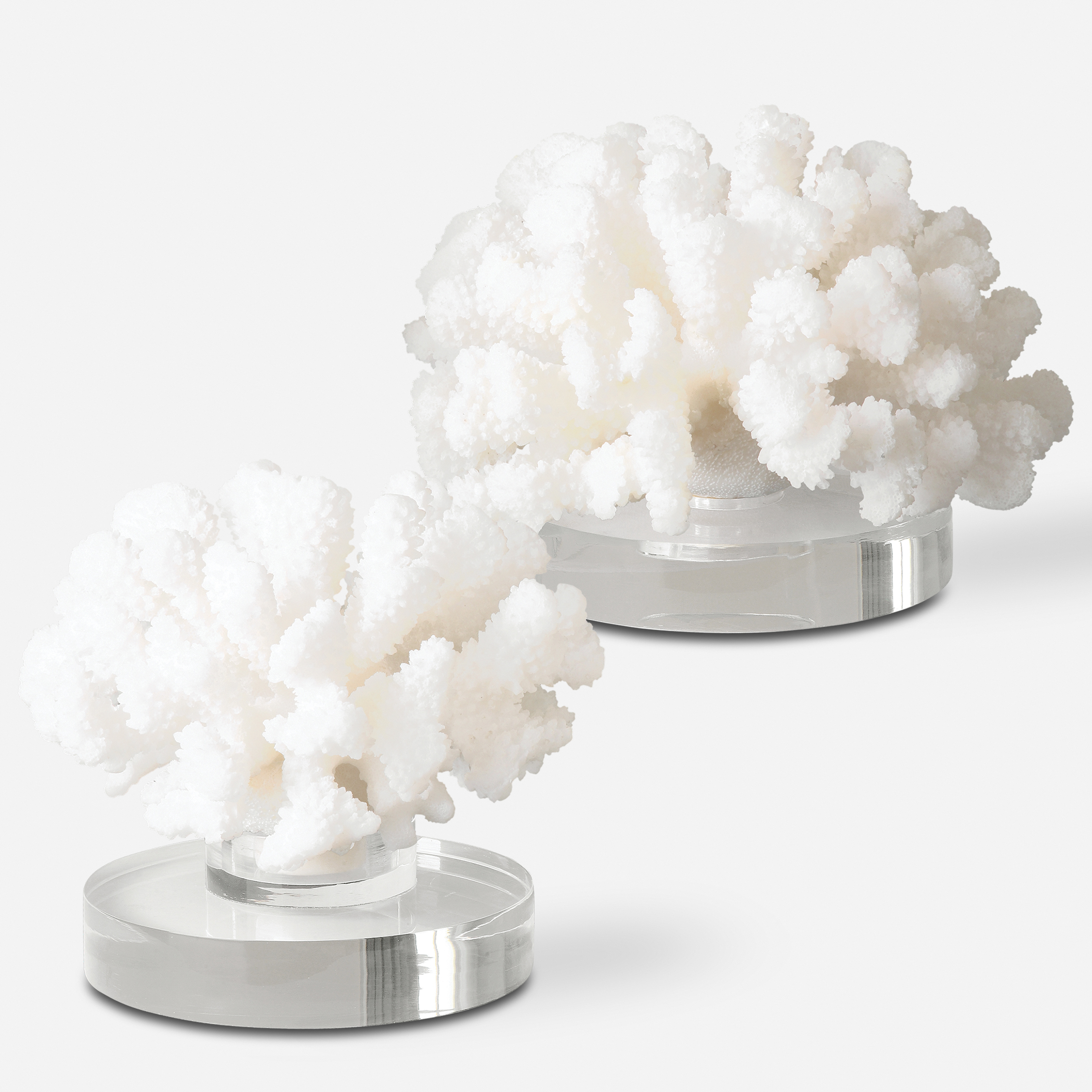 Hard Coral Sculptures, S/2 - Uttermost