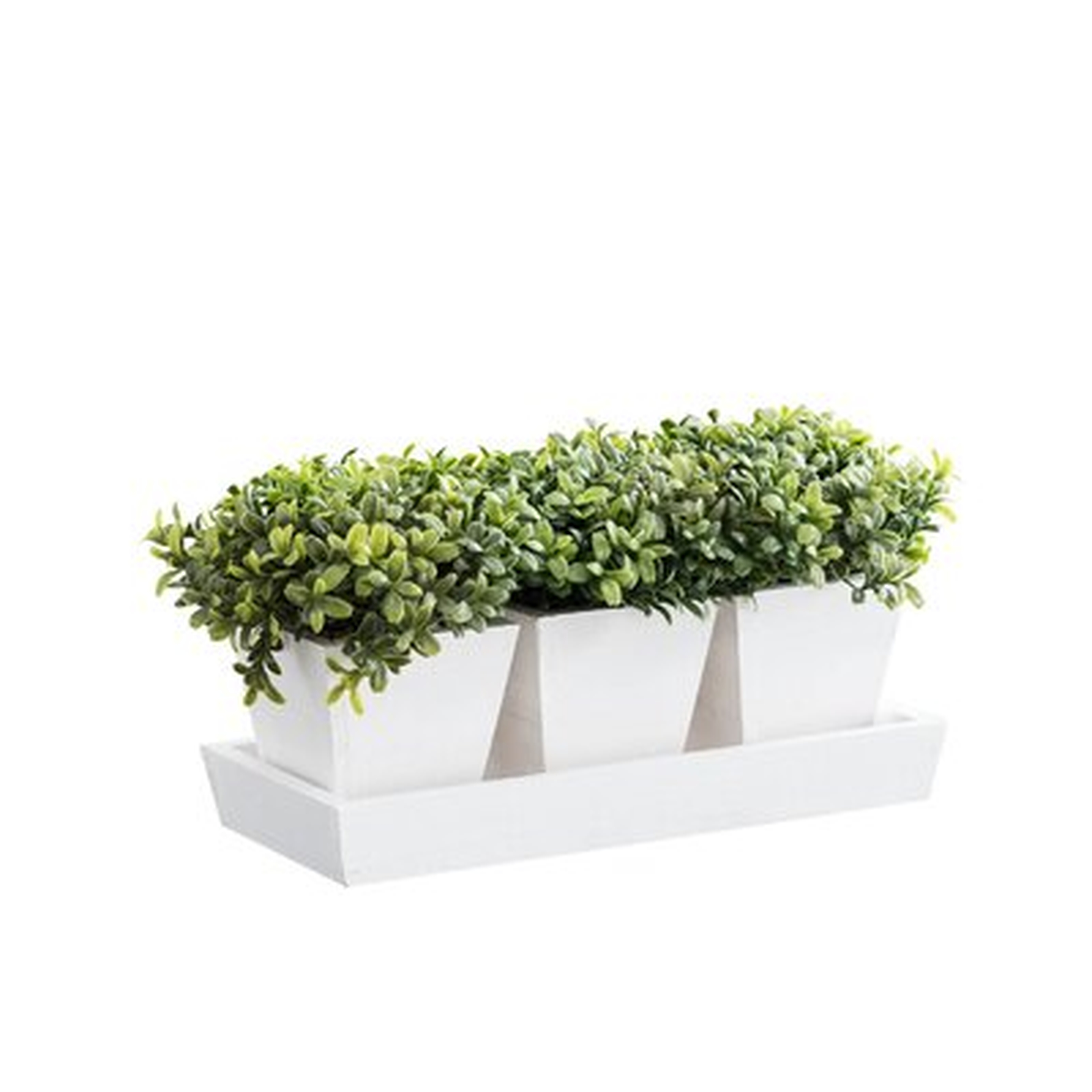 8'' Artificial Boxwood Plant in Pot - Wayfair