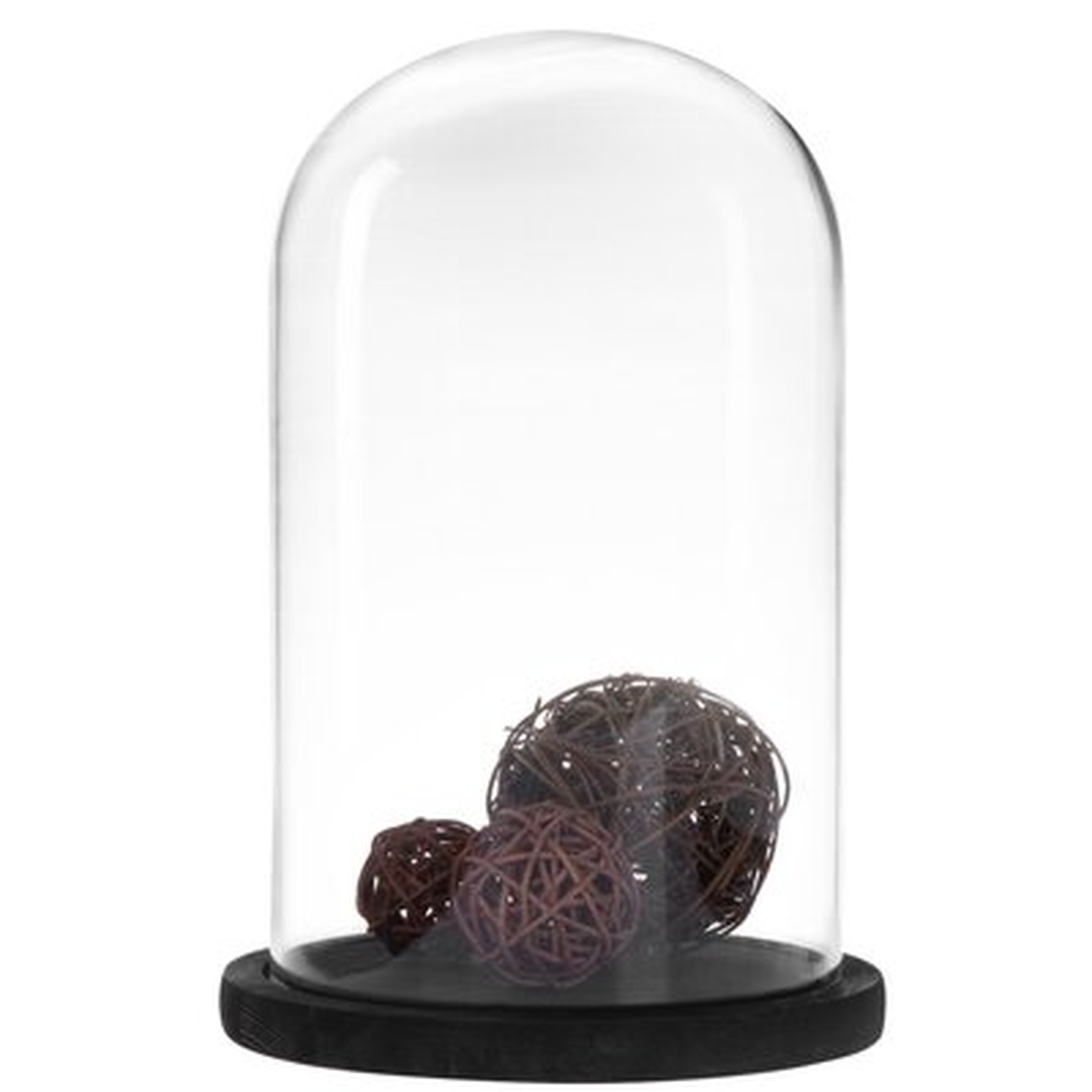 Glass Cloche Bell Jar Display Case - Wayfair