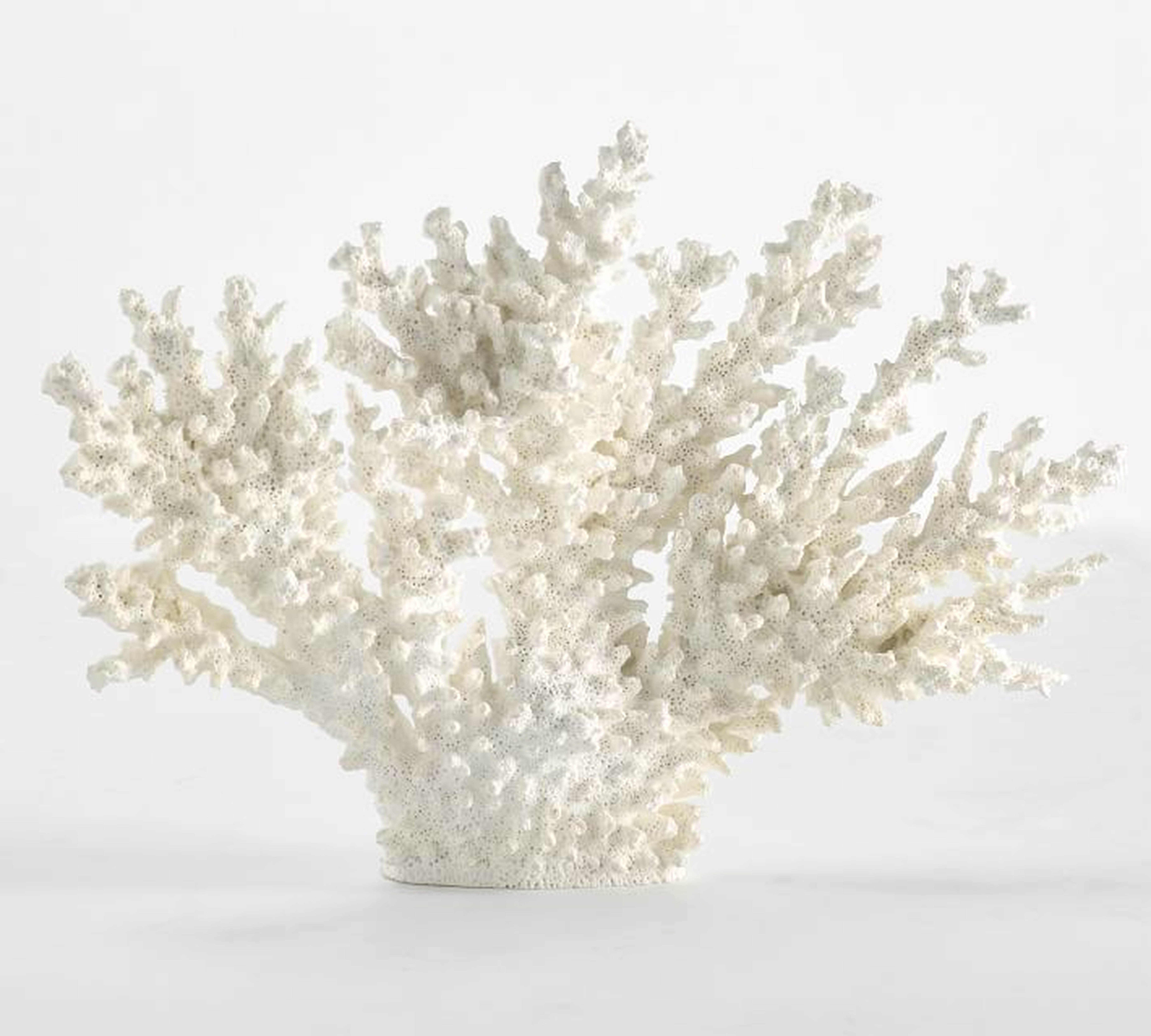 White Spike Coral - Pottery Barn