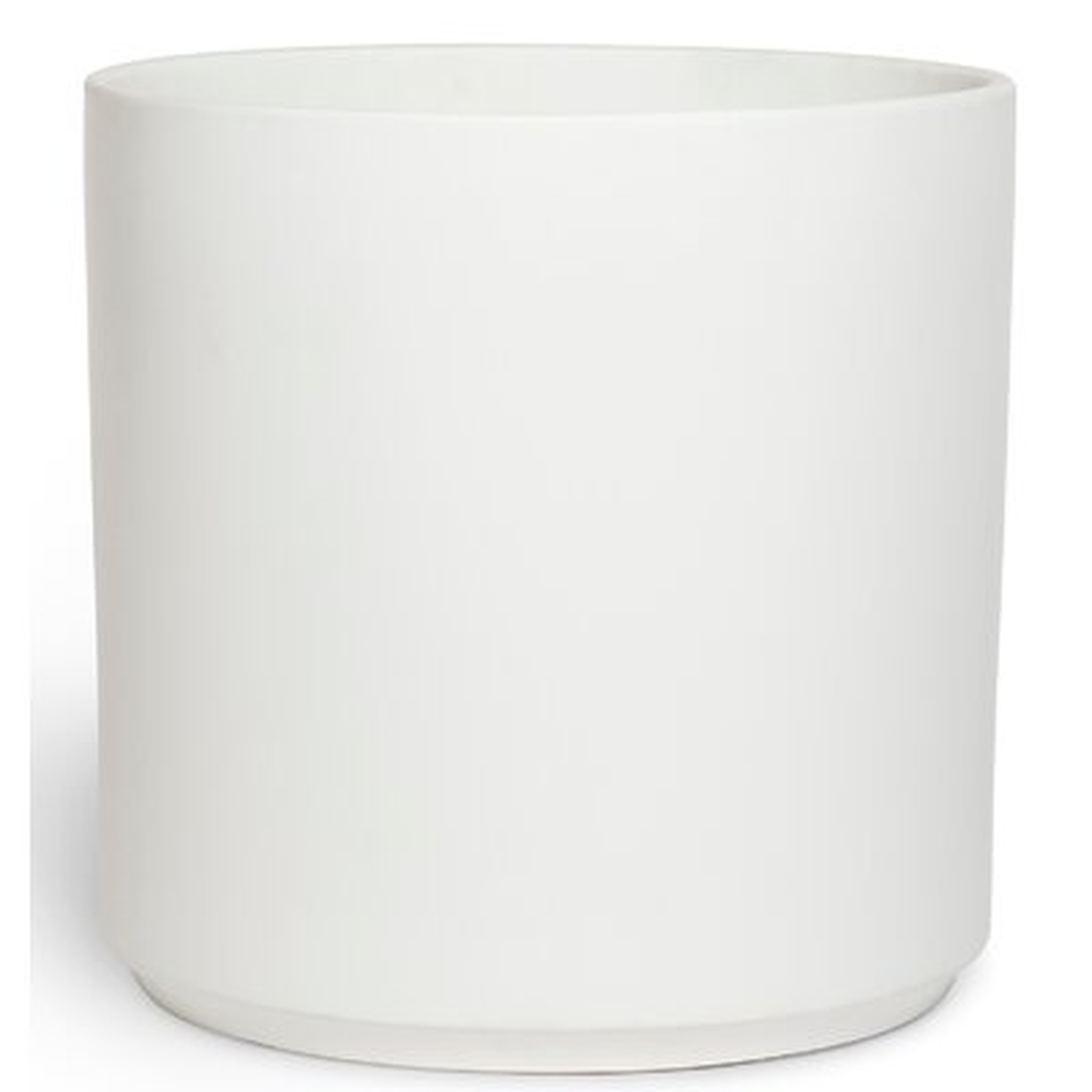 Ceramic Pot Planter - AllModern