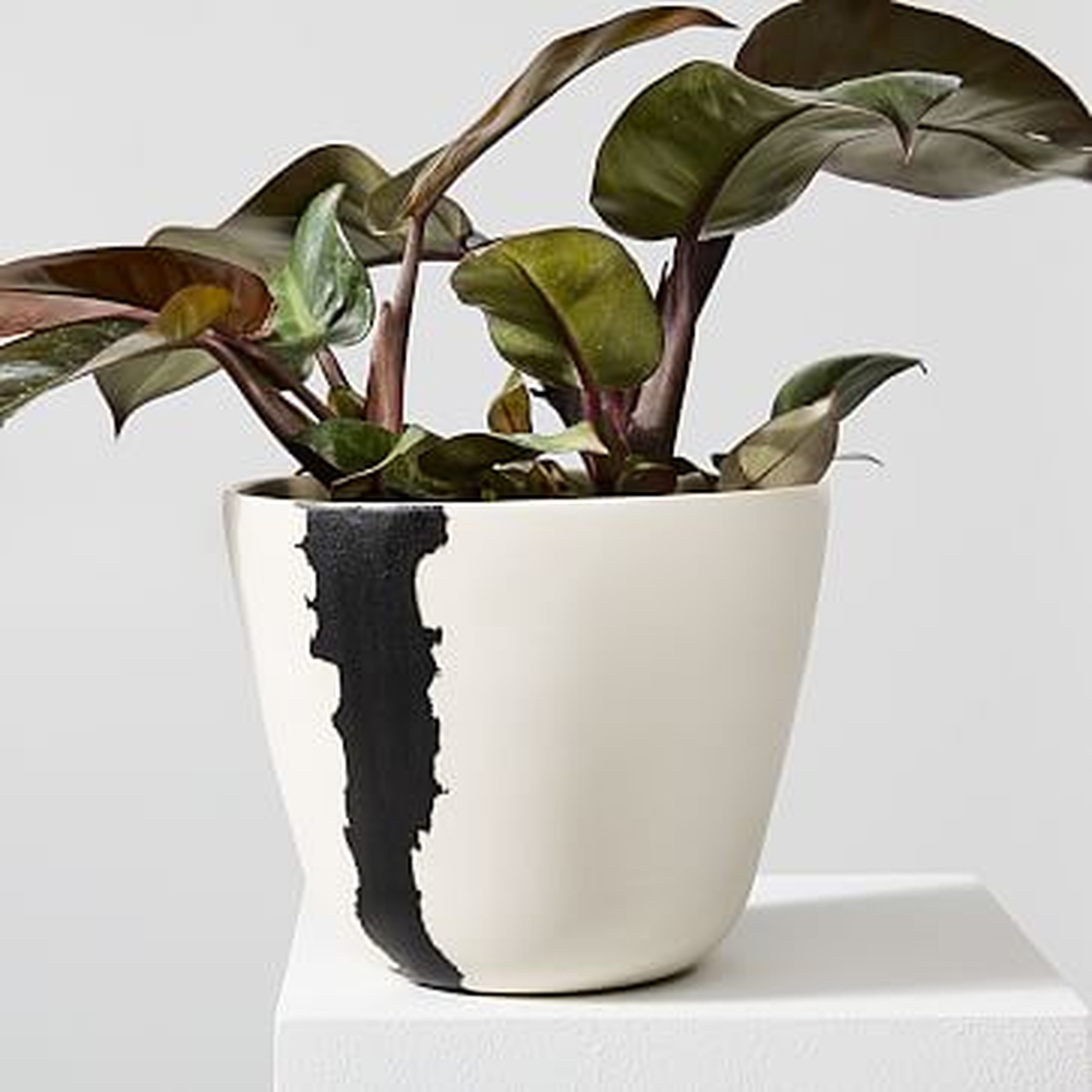 Crater Planter, Large, White - West Elm