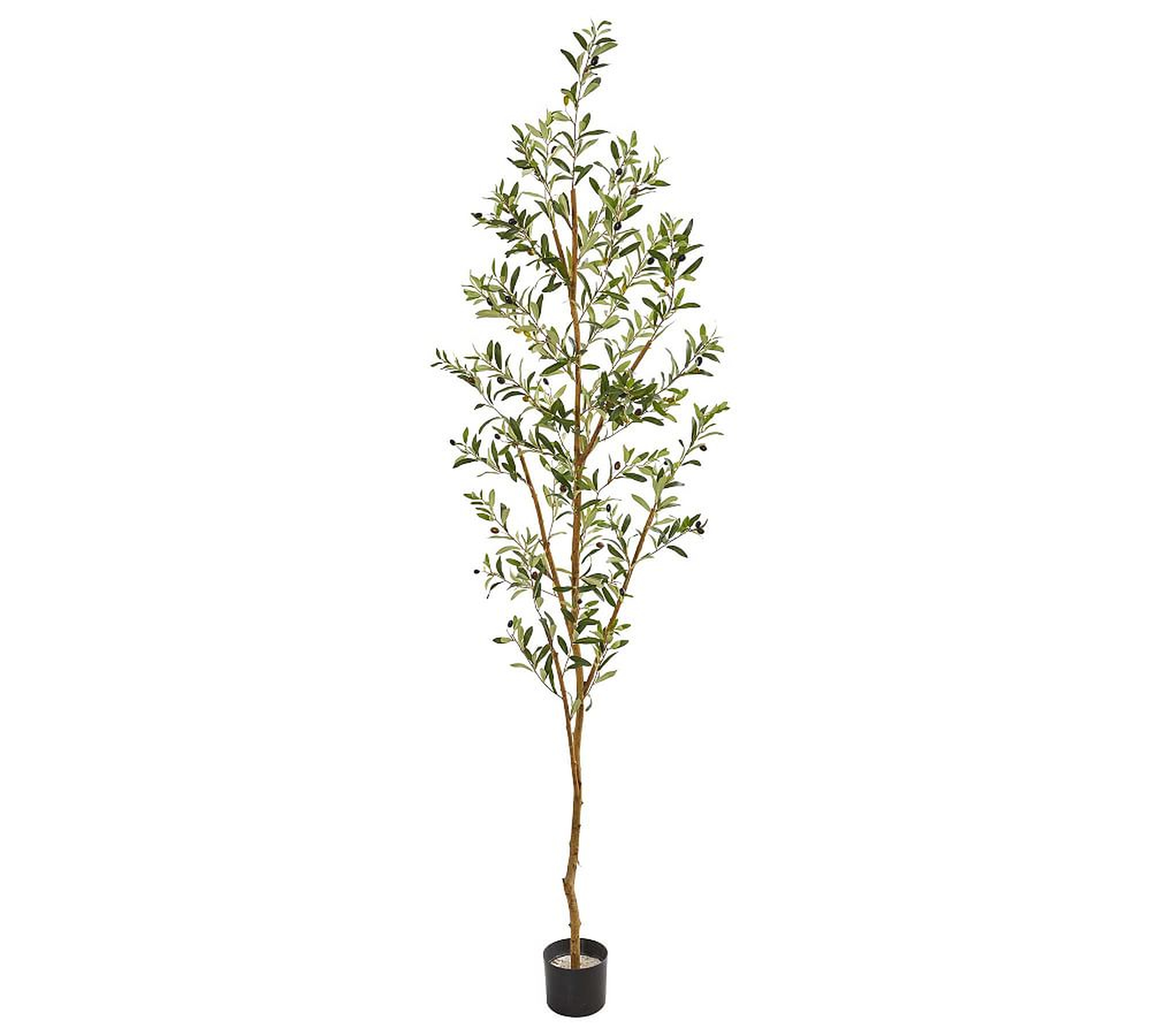 Faux Potted Olive Tree, 4.5 Ft - Pottery Barn