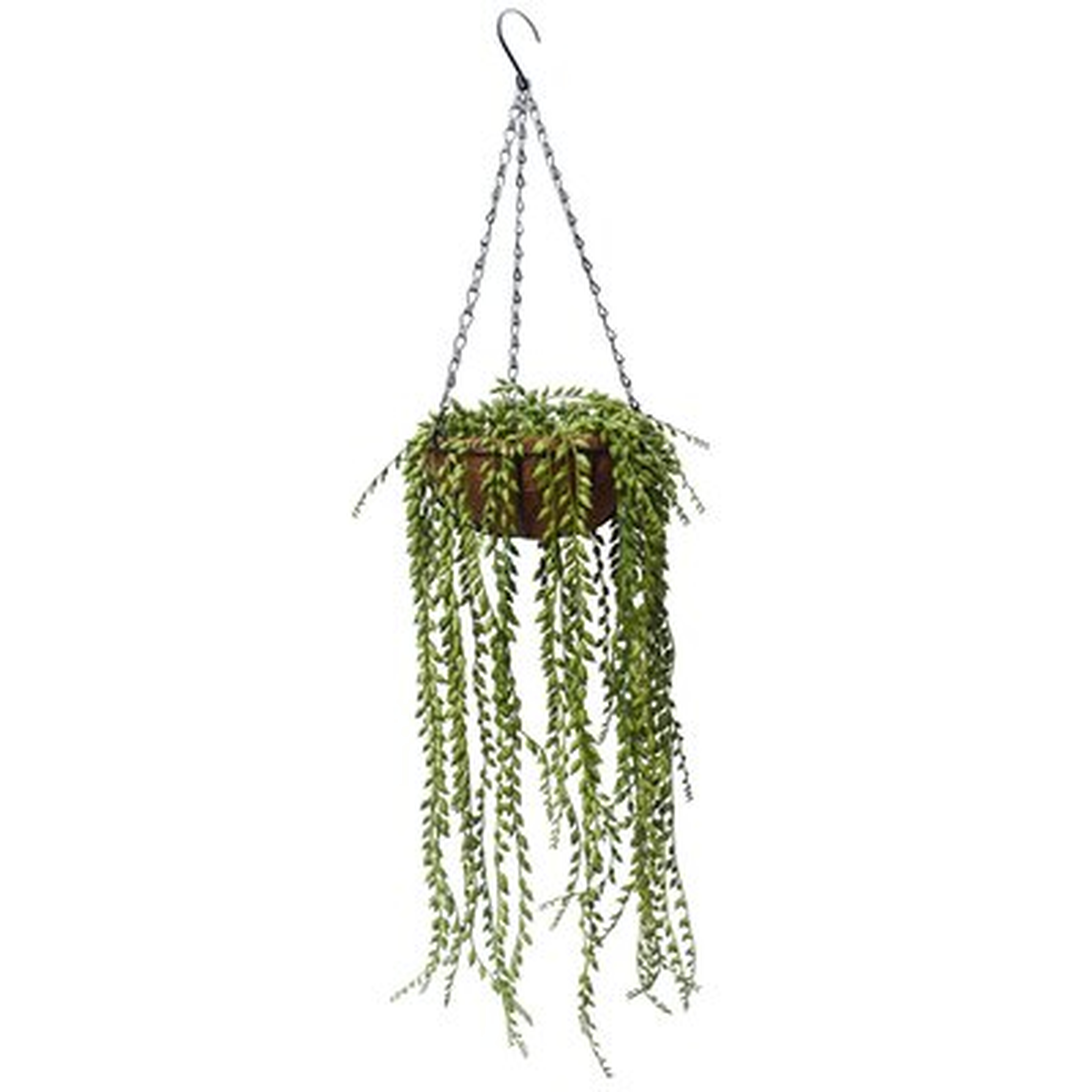 25'' Artificial Succulent Plant in Basket - Wayfair