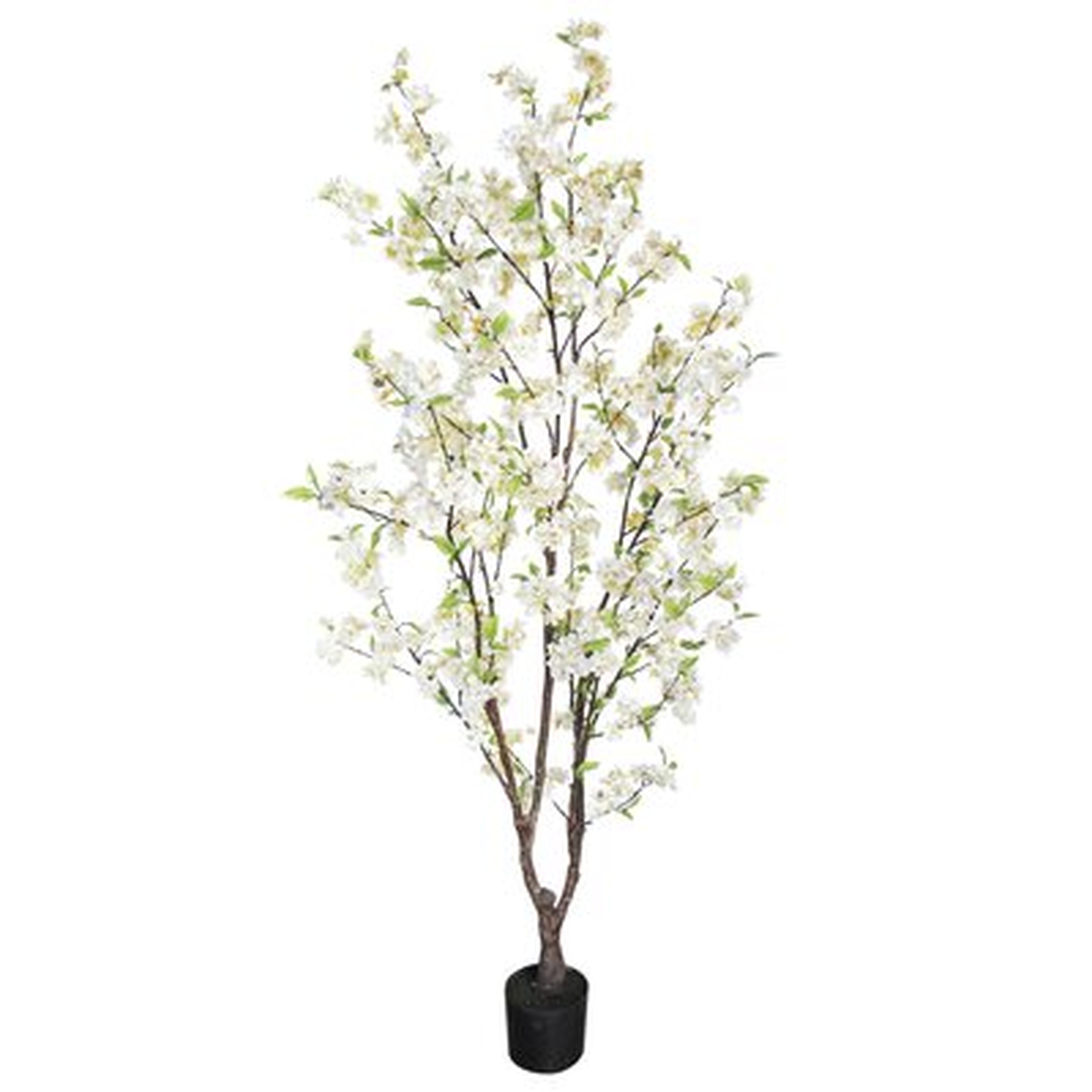 4.5Ft Cherry Blossom Flower Tree In Pot - Wayfair
