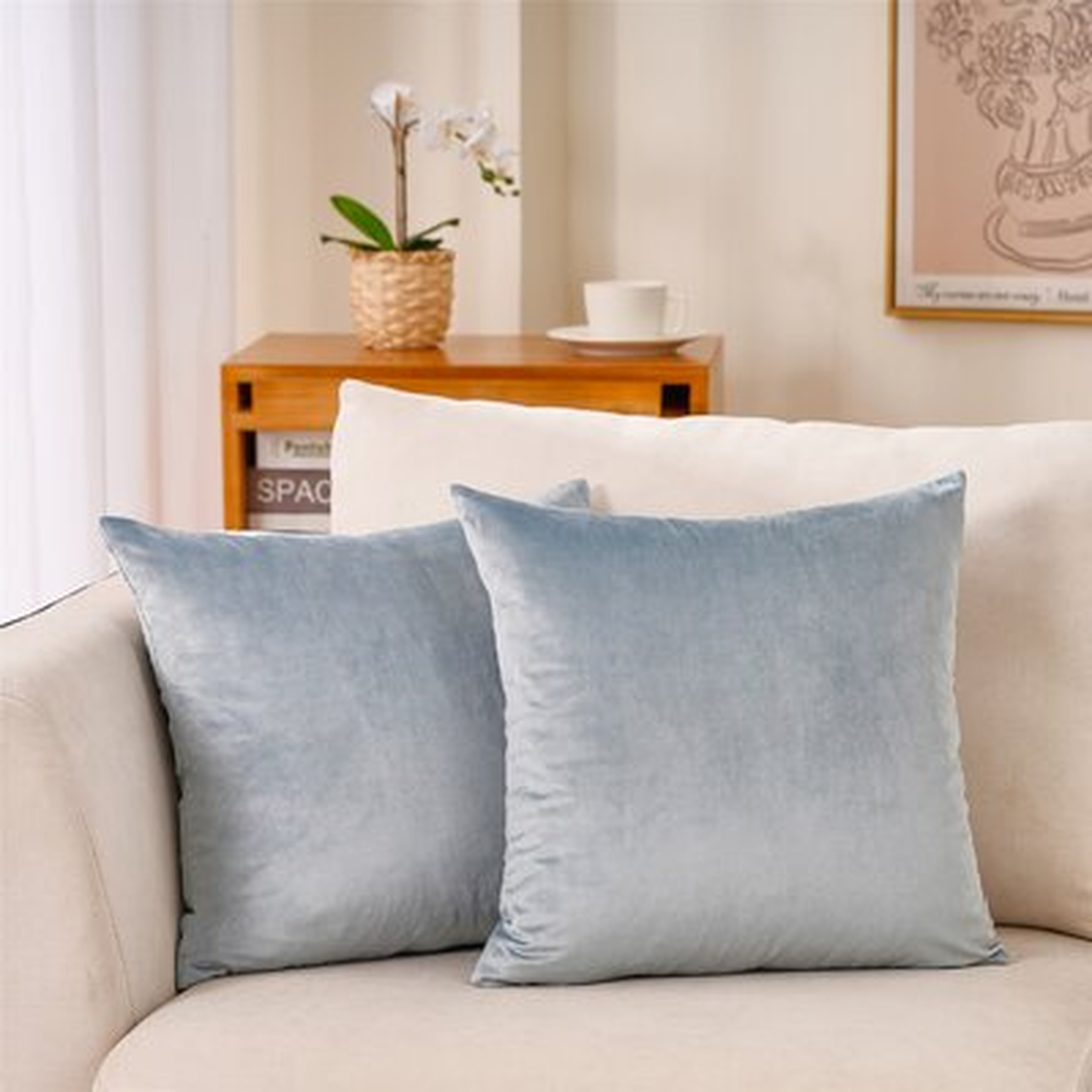 SET OF 2 Velvet Pillow Cover - Wayfair