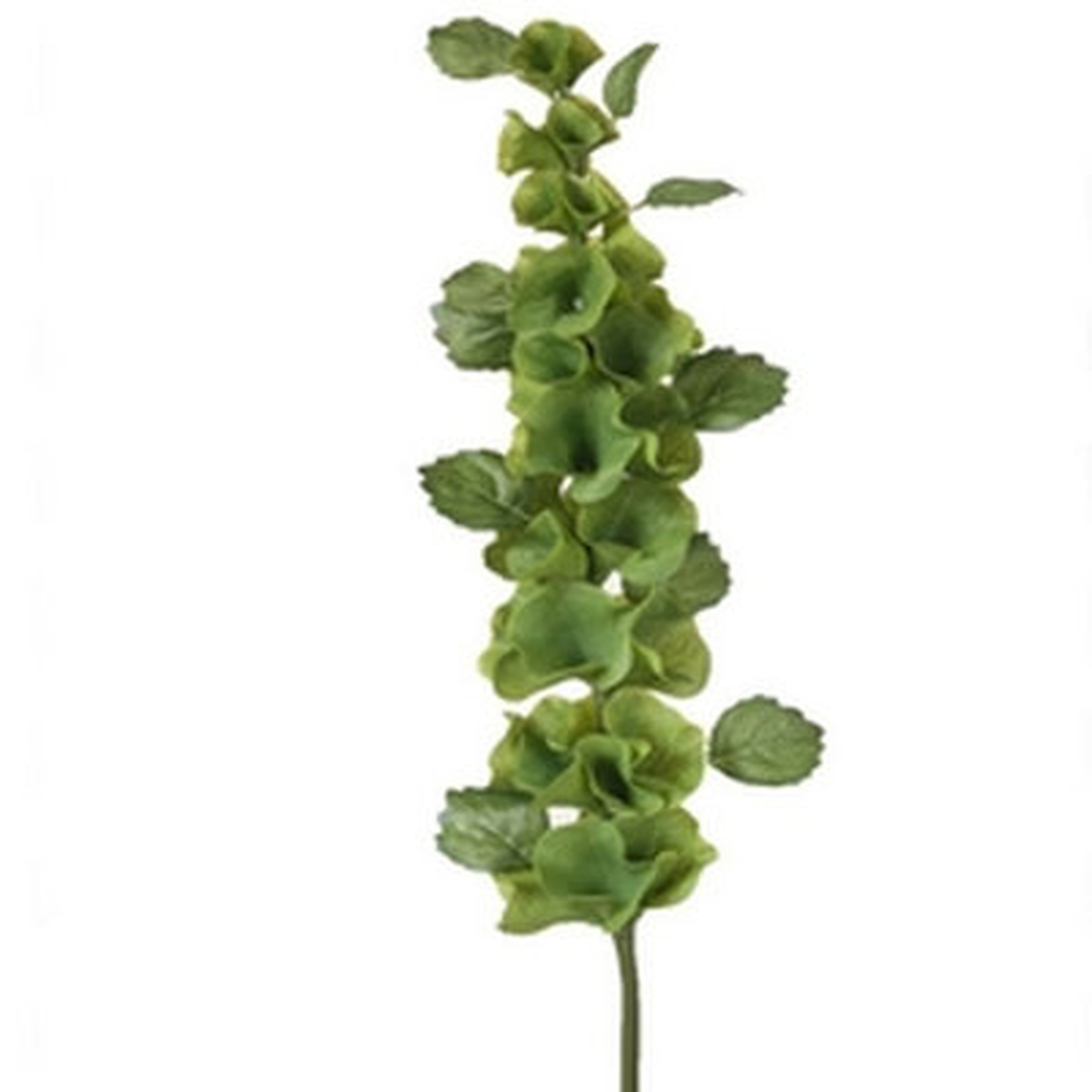 38In(S) Green Bells Of Ireland Stem Faux Plants And Trees - Wayfair