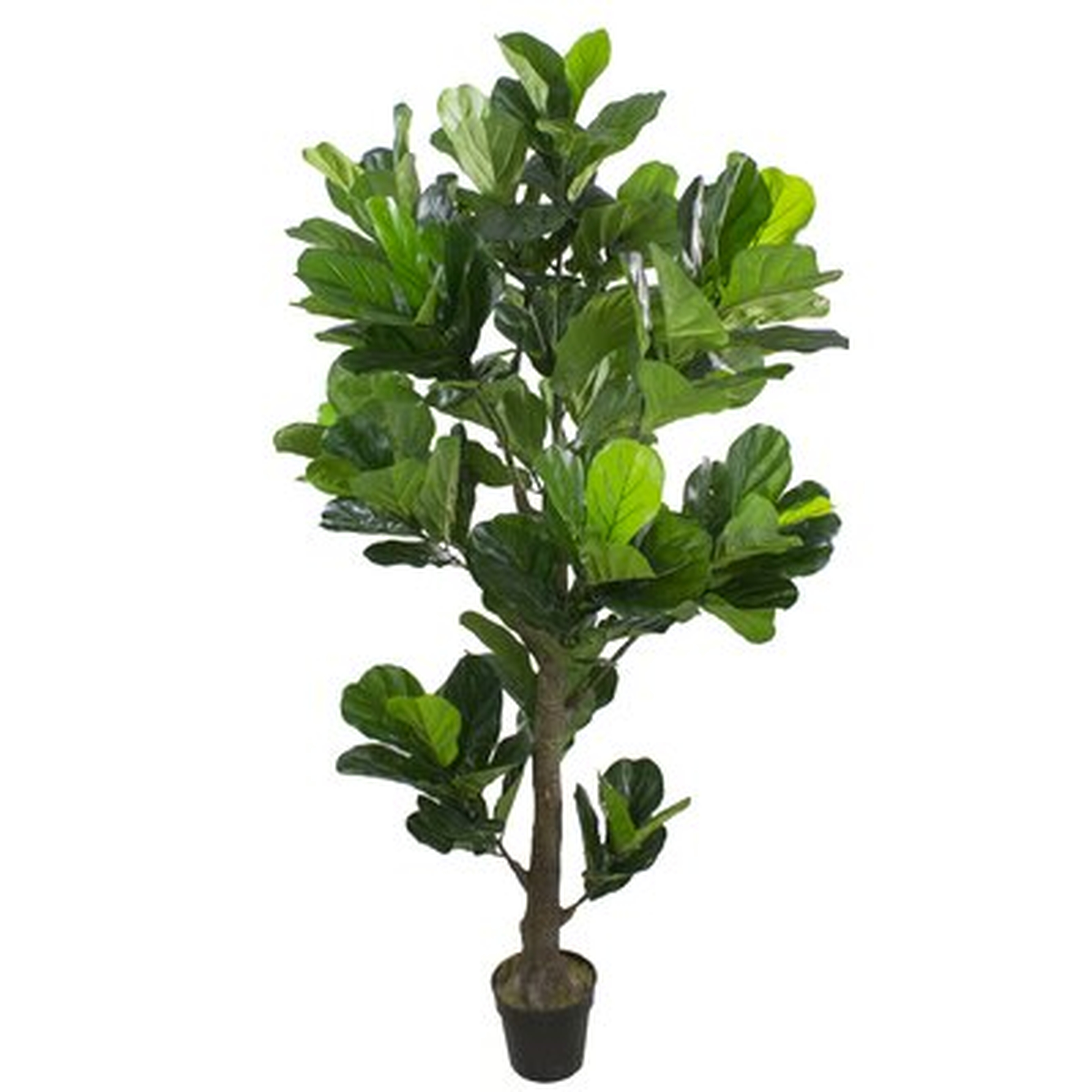 74 Dark Green Artificial Fiddle Leaf Fig Potted Tree - Wayfair