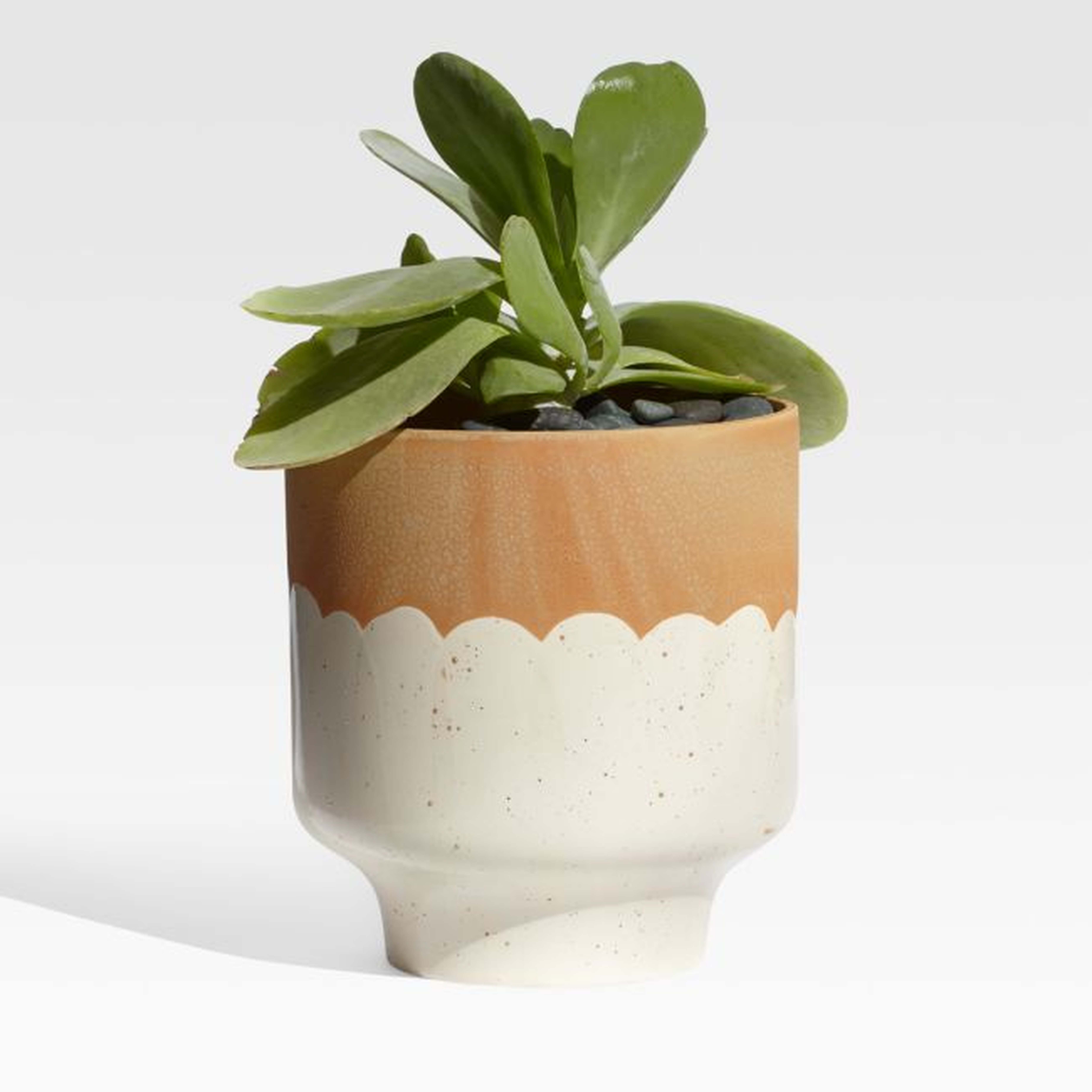 Simani Footed Two-Toned Planter - Crate and Barrel