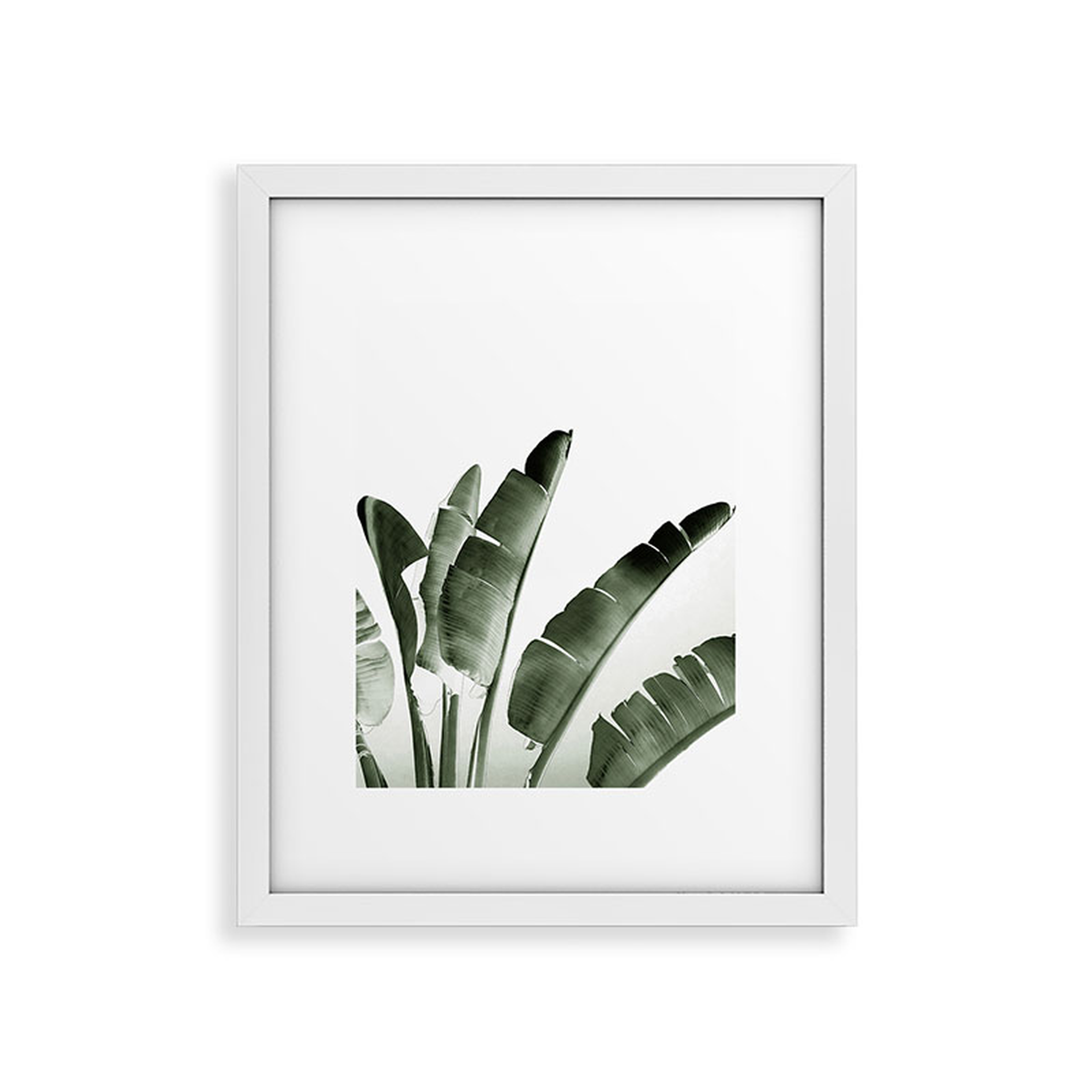 Traveler Palm by Gale Switzer - Modern Framed Art Print, White, 16" x 20" - Roam Common