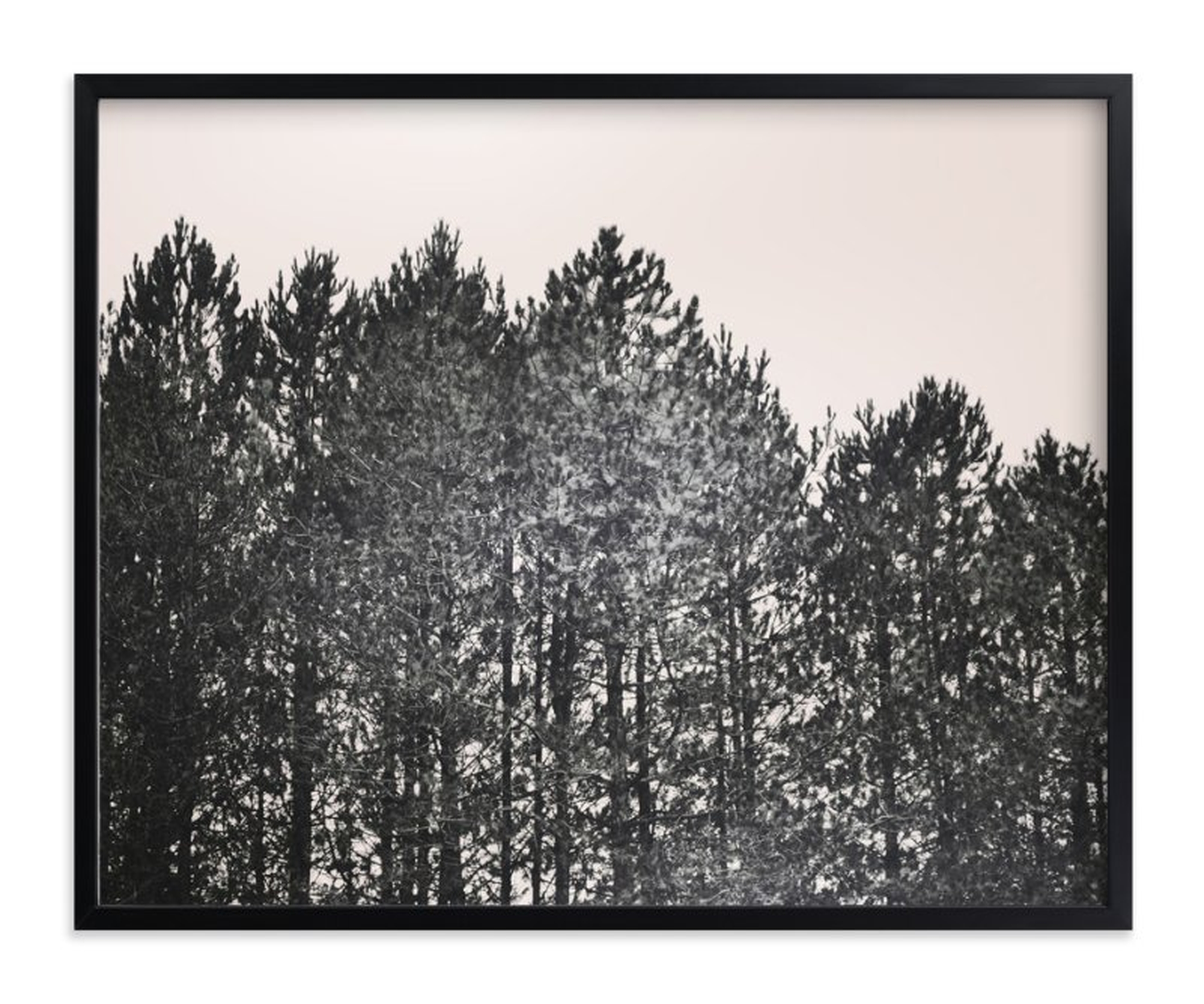 Pines Limited Edition Art Print - Minted