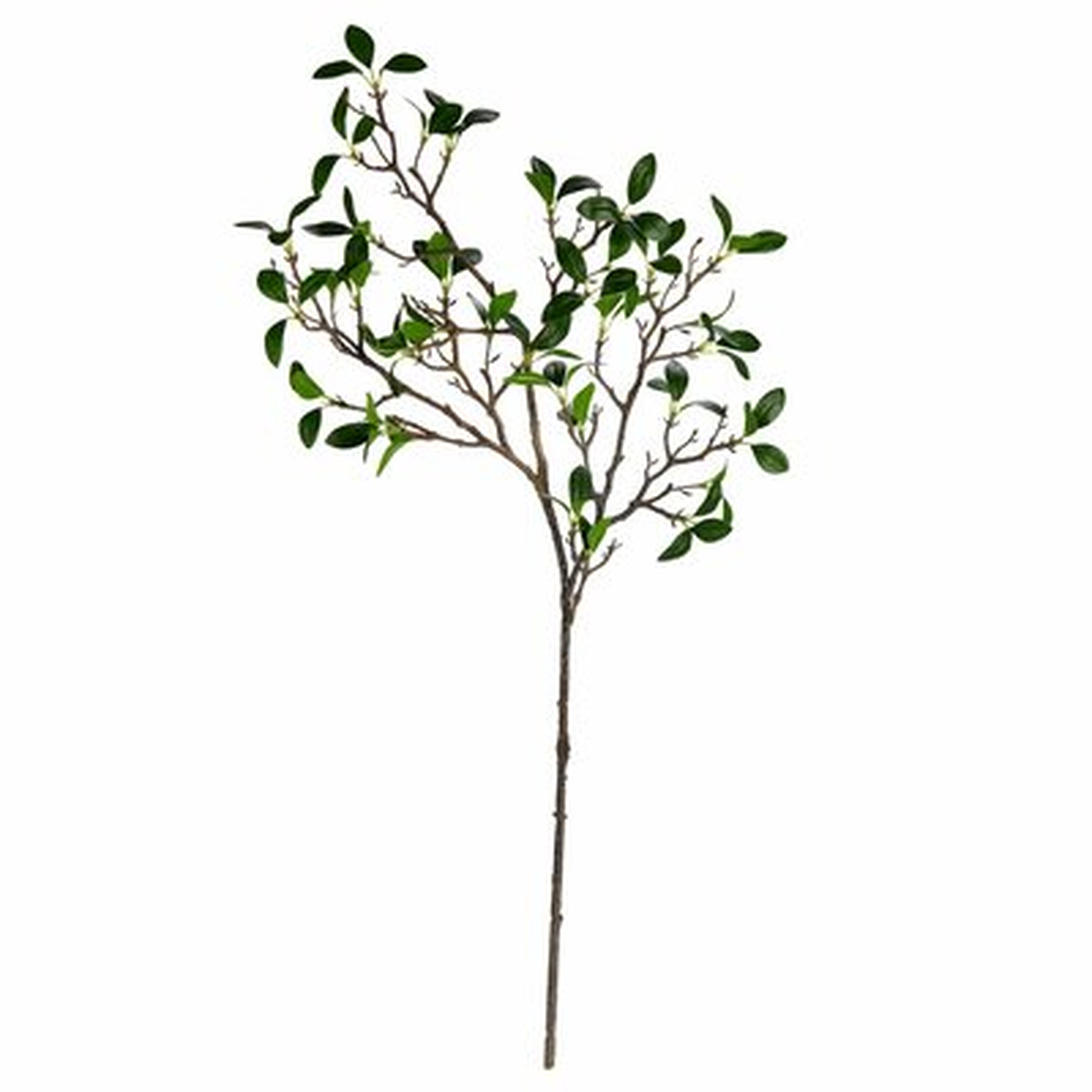 38.5'' Bonsai Branch (Set of 2) - Wayfair