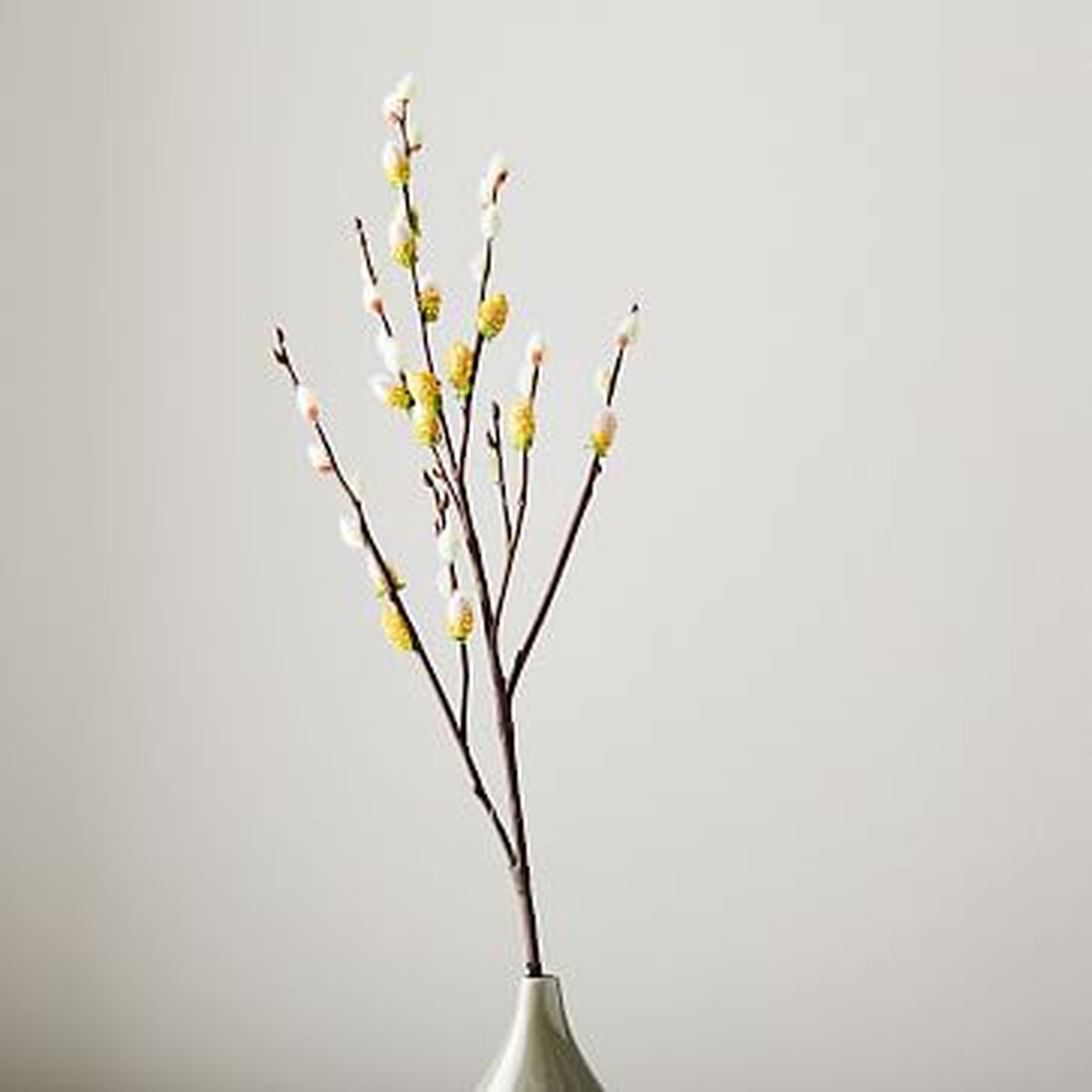Faux Pussy Willow Branch - West Elm