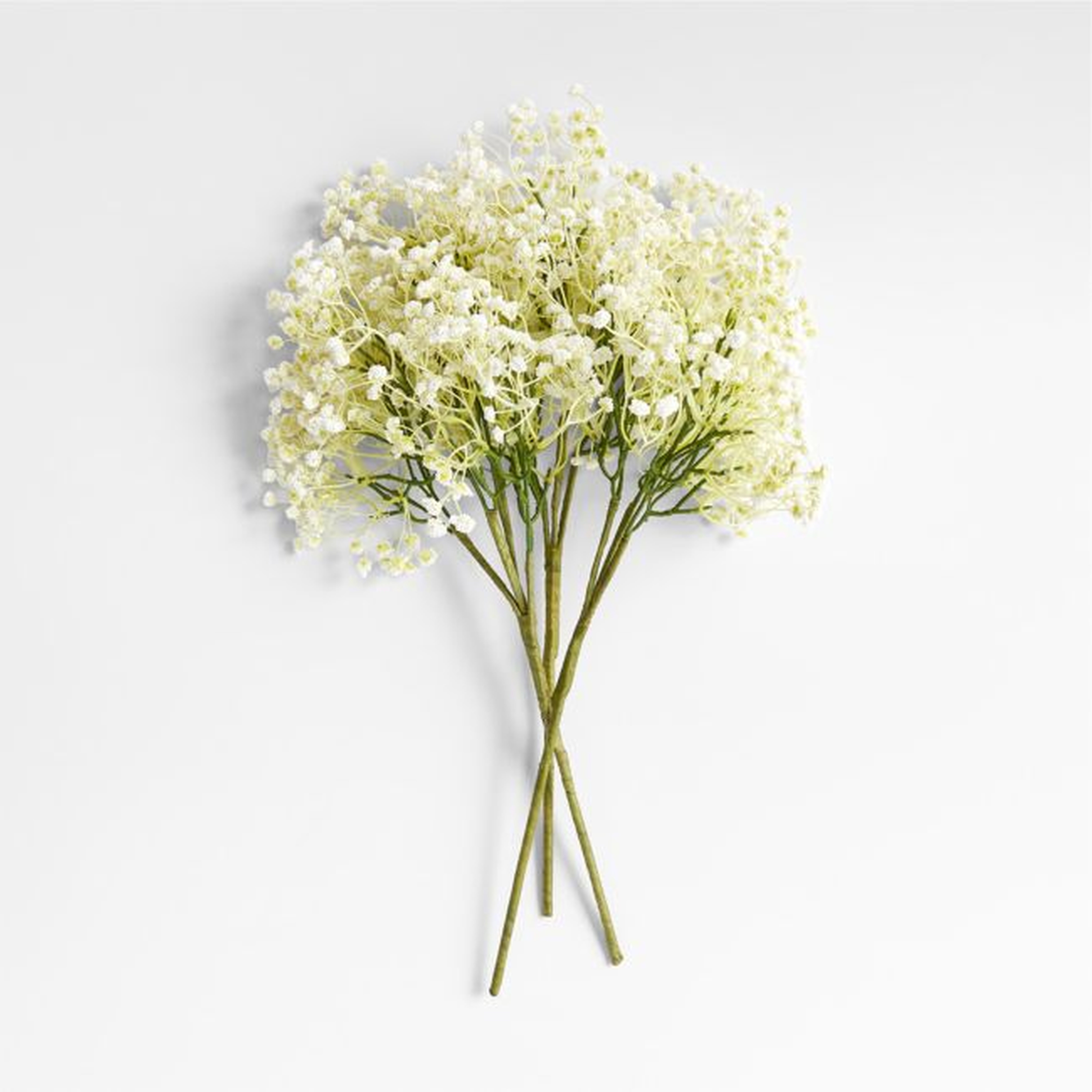 Faux Green and White Baby's Breath Flower Bouquet 20" - Crate and Barrel