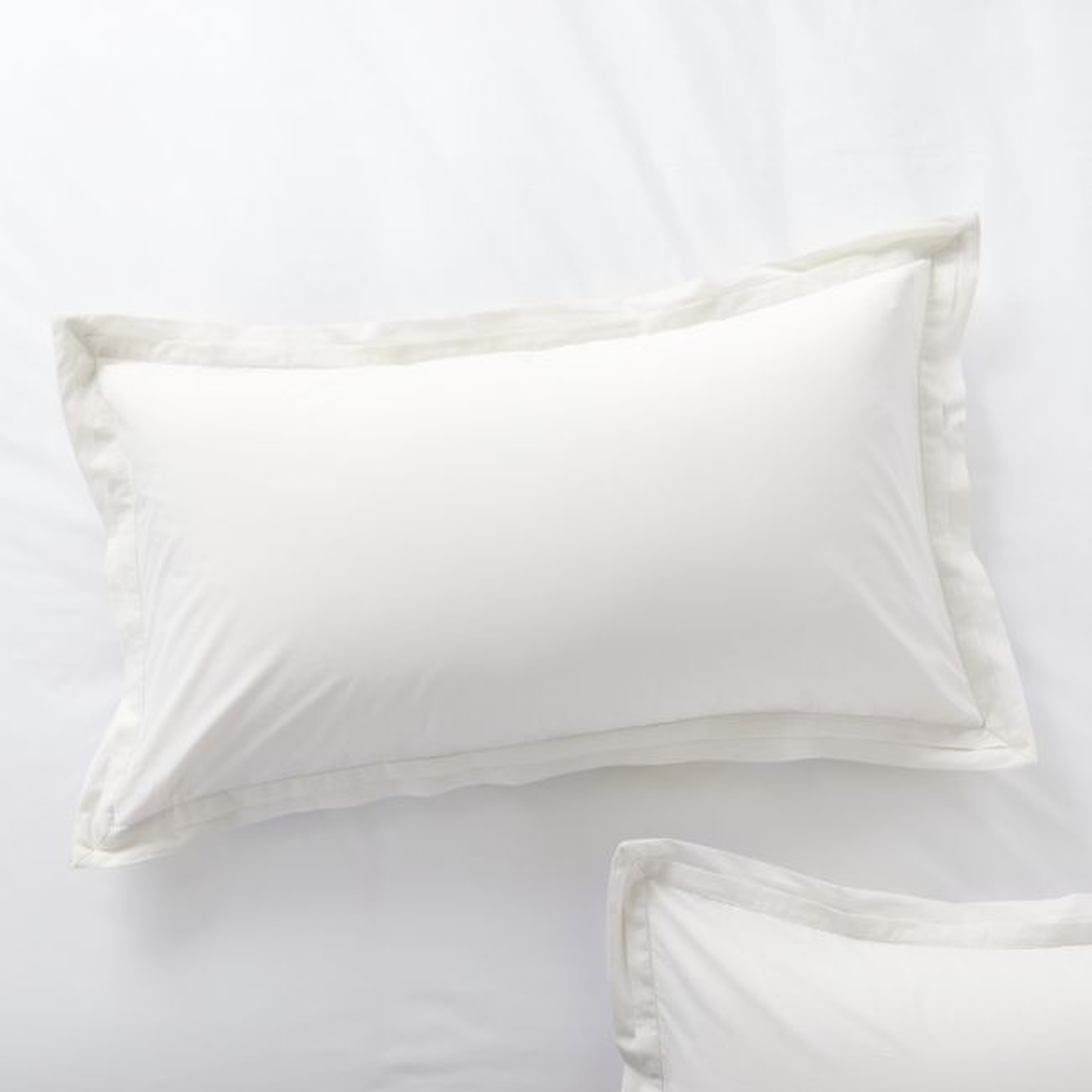Mellow Pearl Organic Cotton King Sham - Crate and Barrel