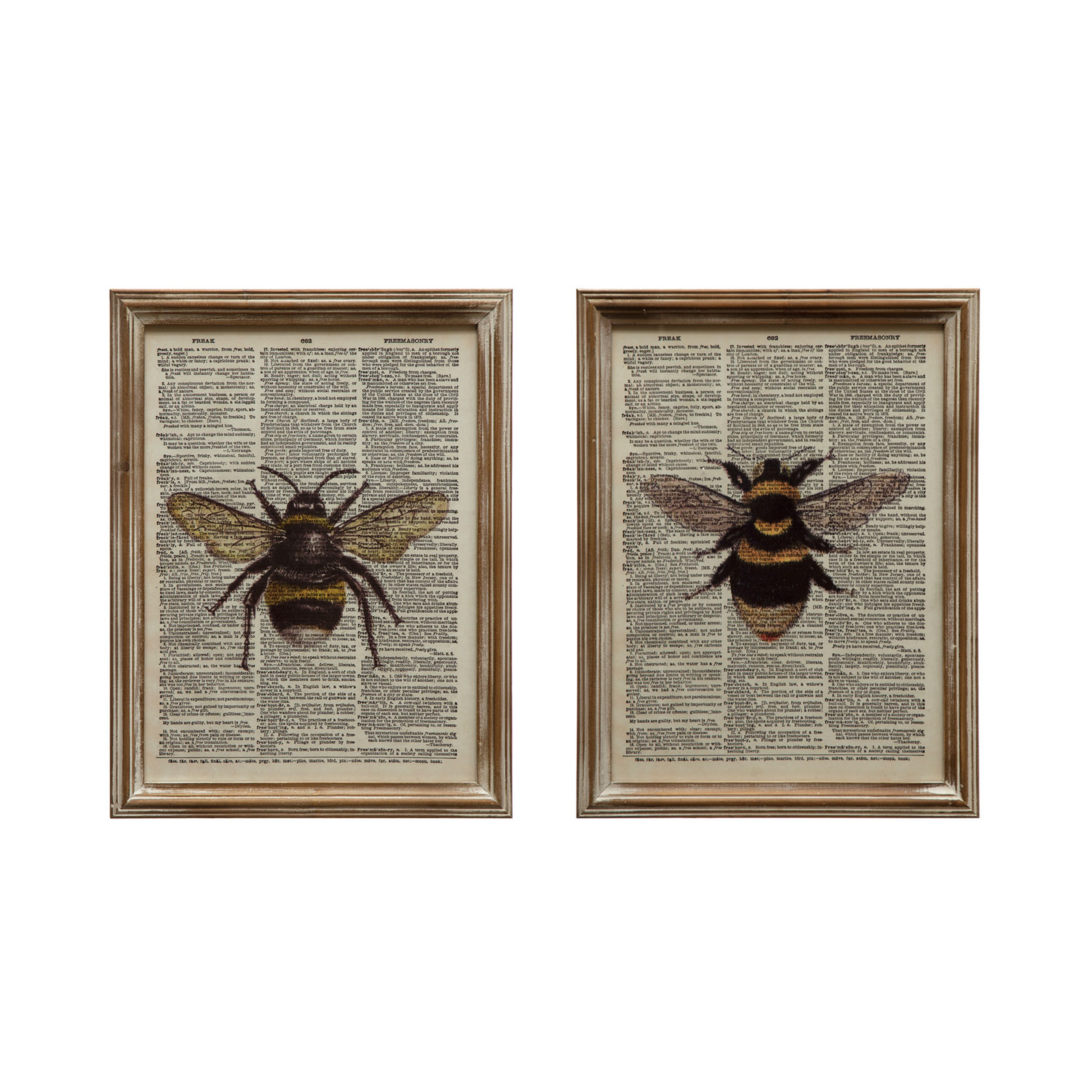 Wood Framed Glass Book Print Wall Décor with Bee, 2 Styles - Creative Co-Op