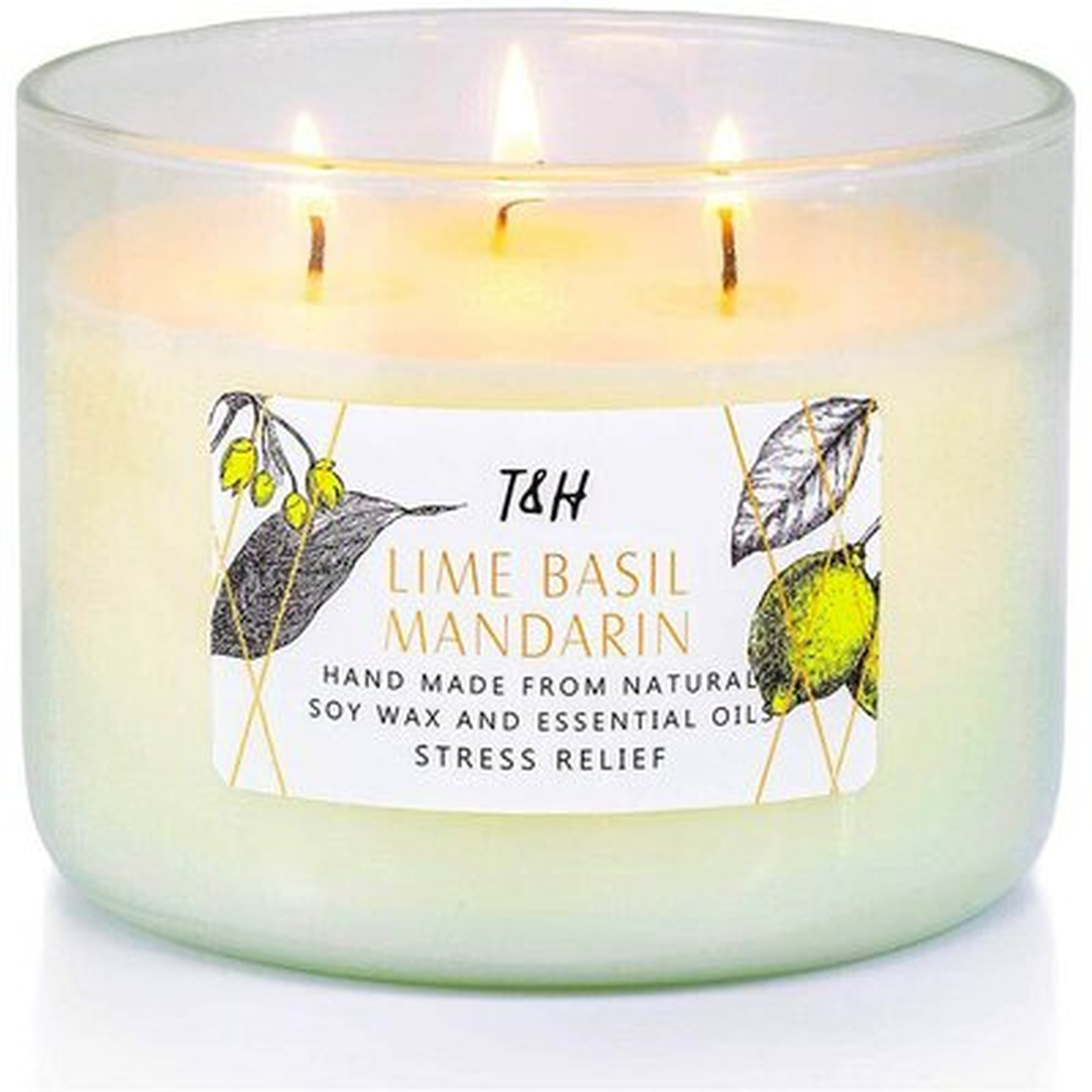 Lime Basil Mandarin Scented Candle 3 Wick Candles For Home - Wayfair