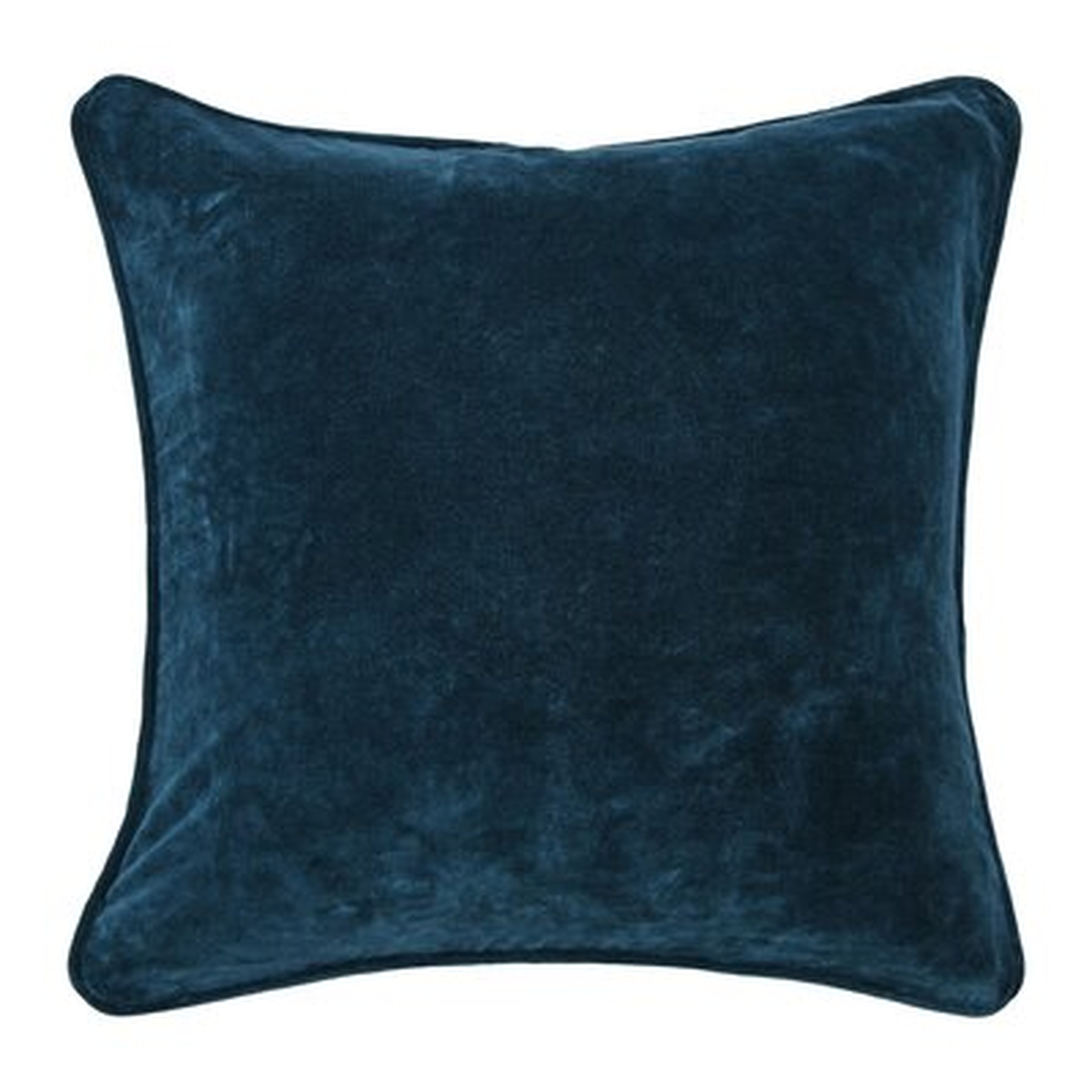 Farmersville Square Velvet Pillow - Birch Lane