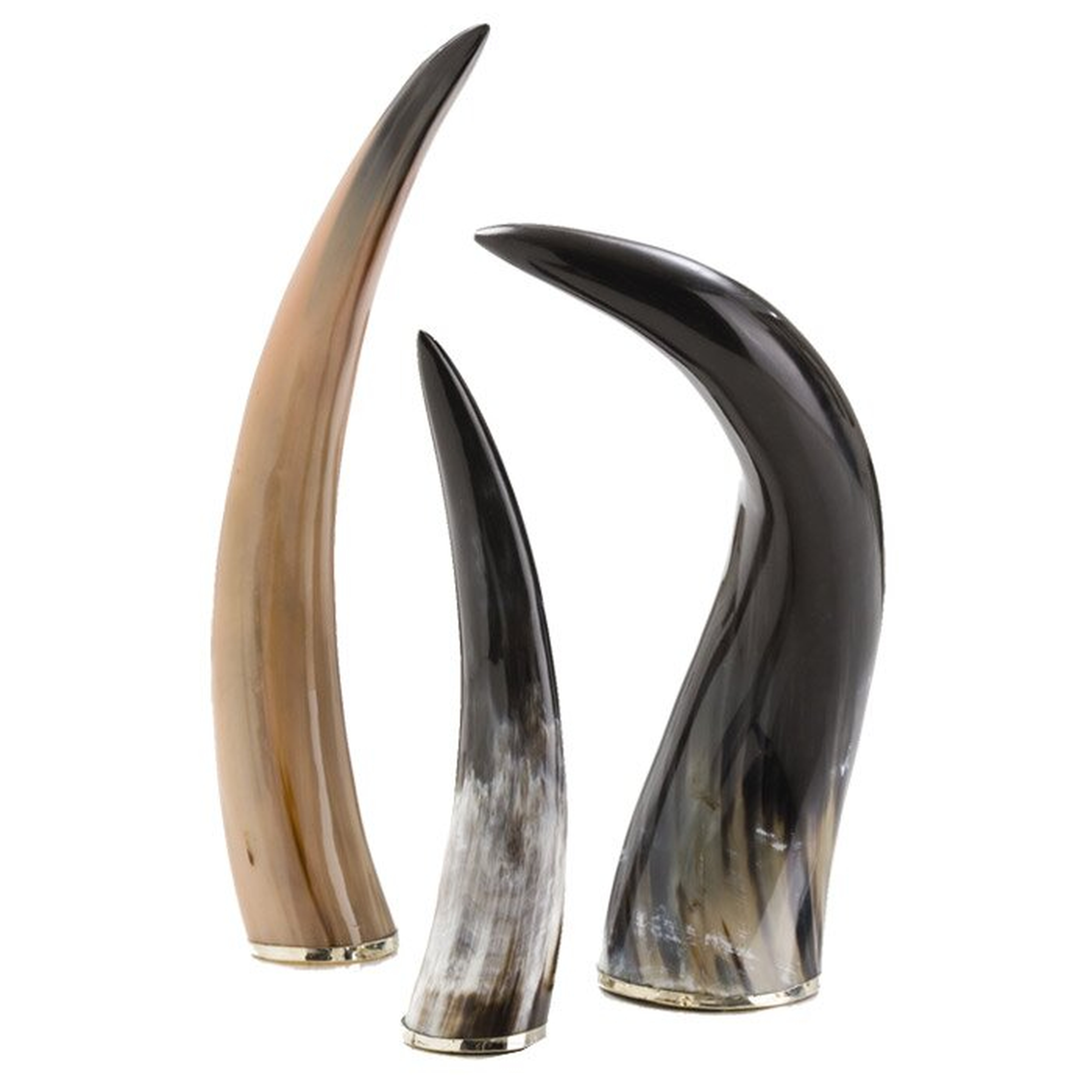 Arteriors Decorative Horn Object - Perigold