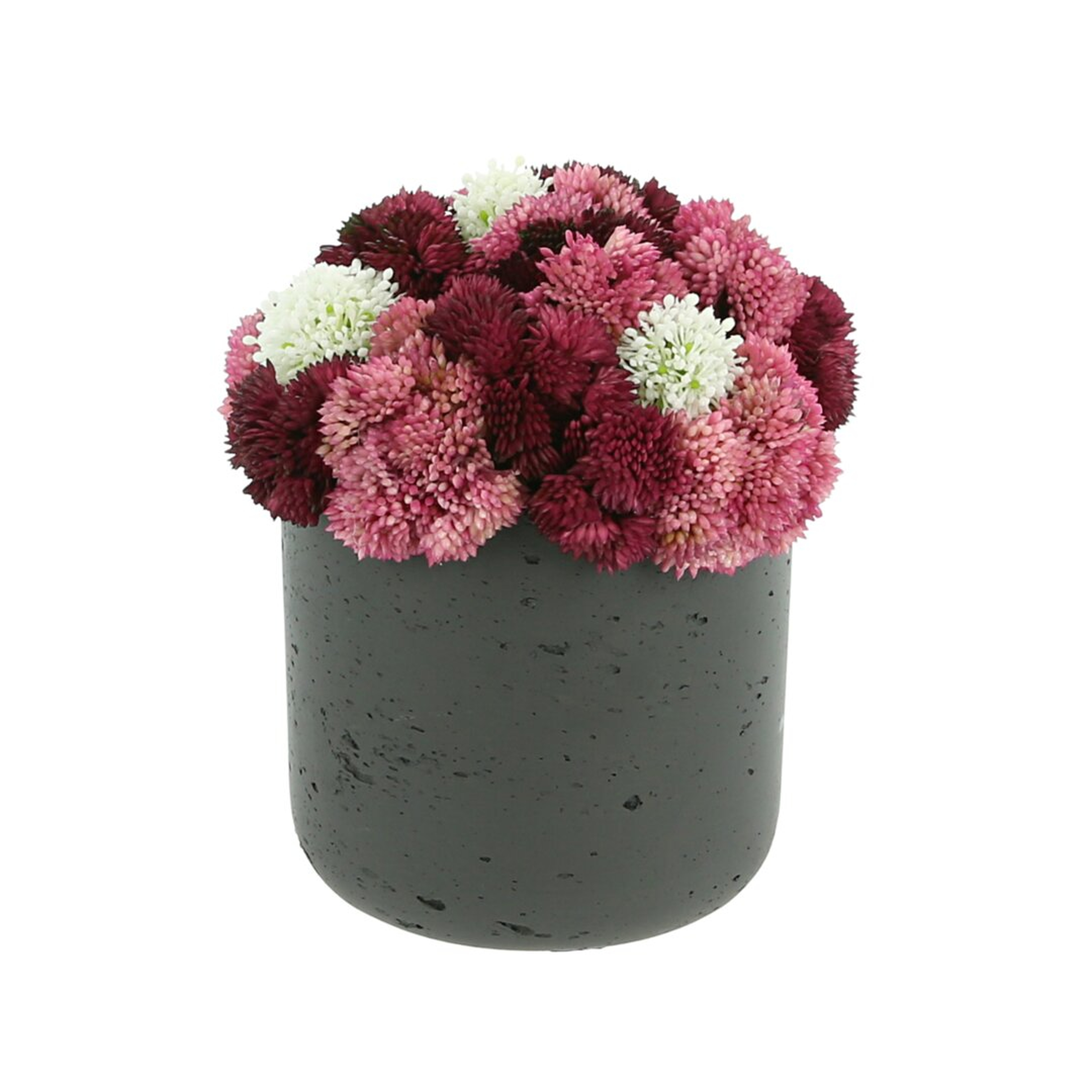 "Creative Displays, Inc. Assorted Sedum Vase" - Perigold