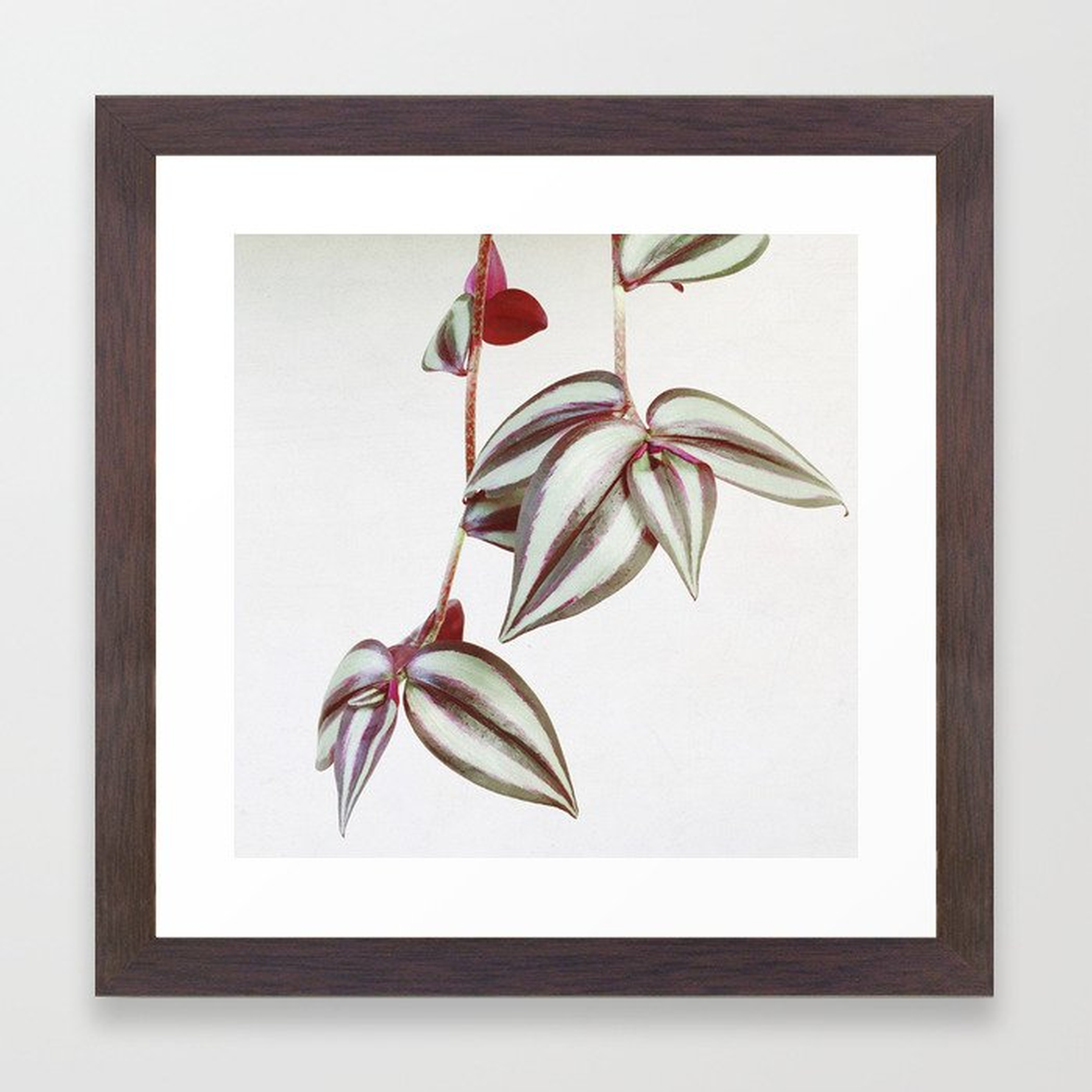 Trailing Leaves Framed Art Print by Cassia Beck - Conservation Walnut - X-Small 10" x 10"-12x12 - Society6