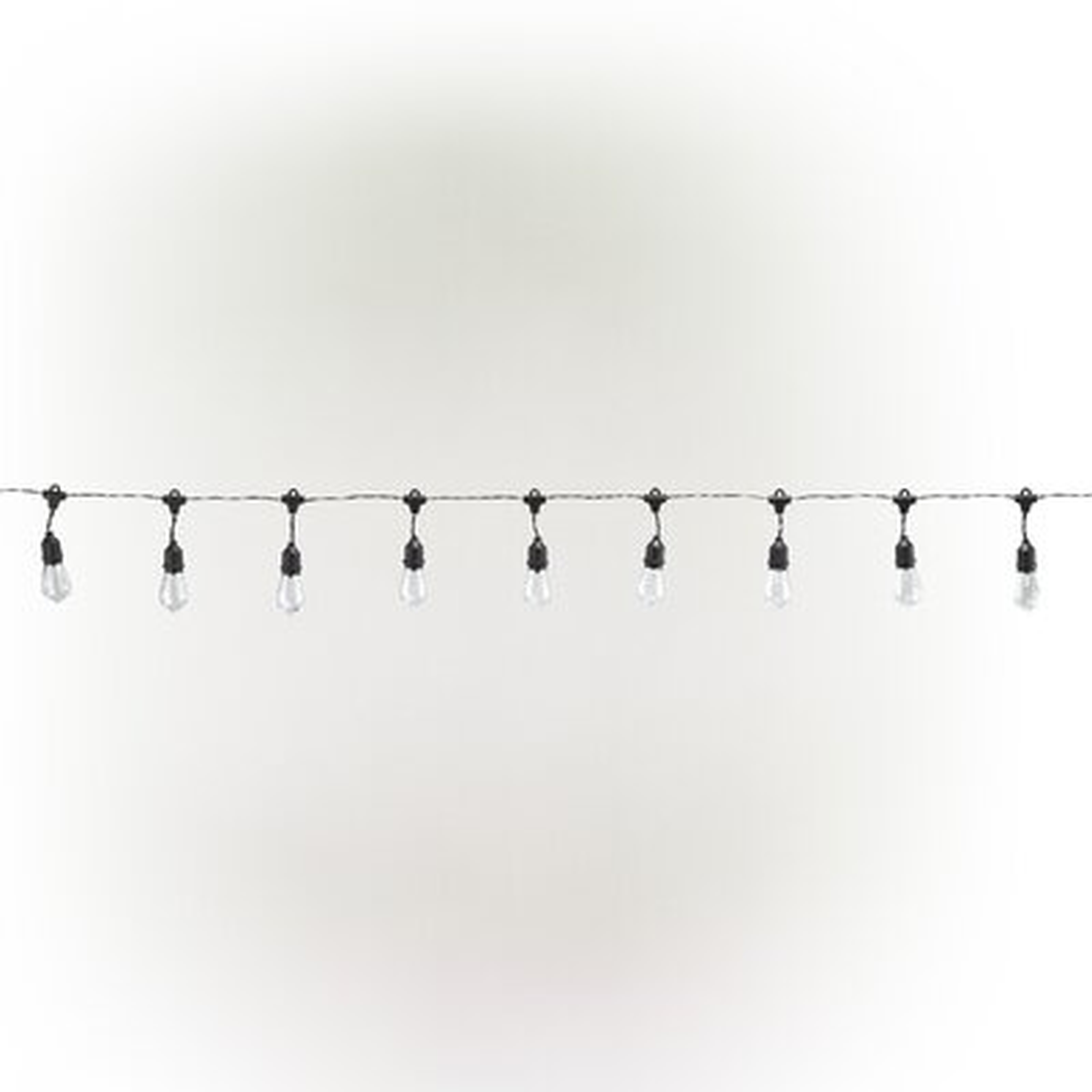 Marro 7.5 ft. 10-Light Globe String Light - Wayfair