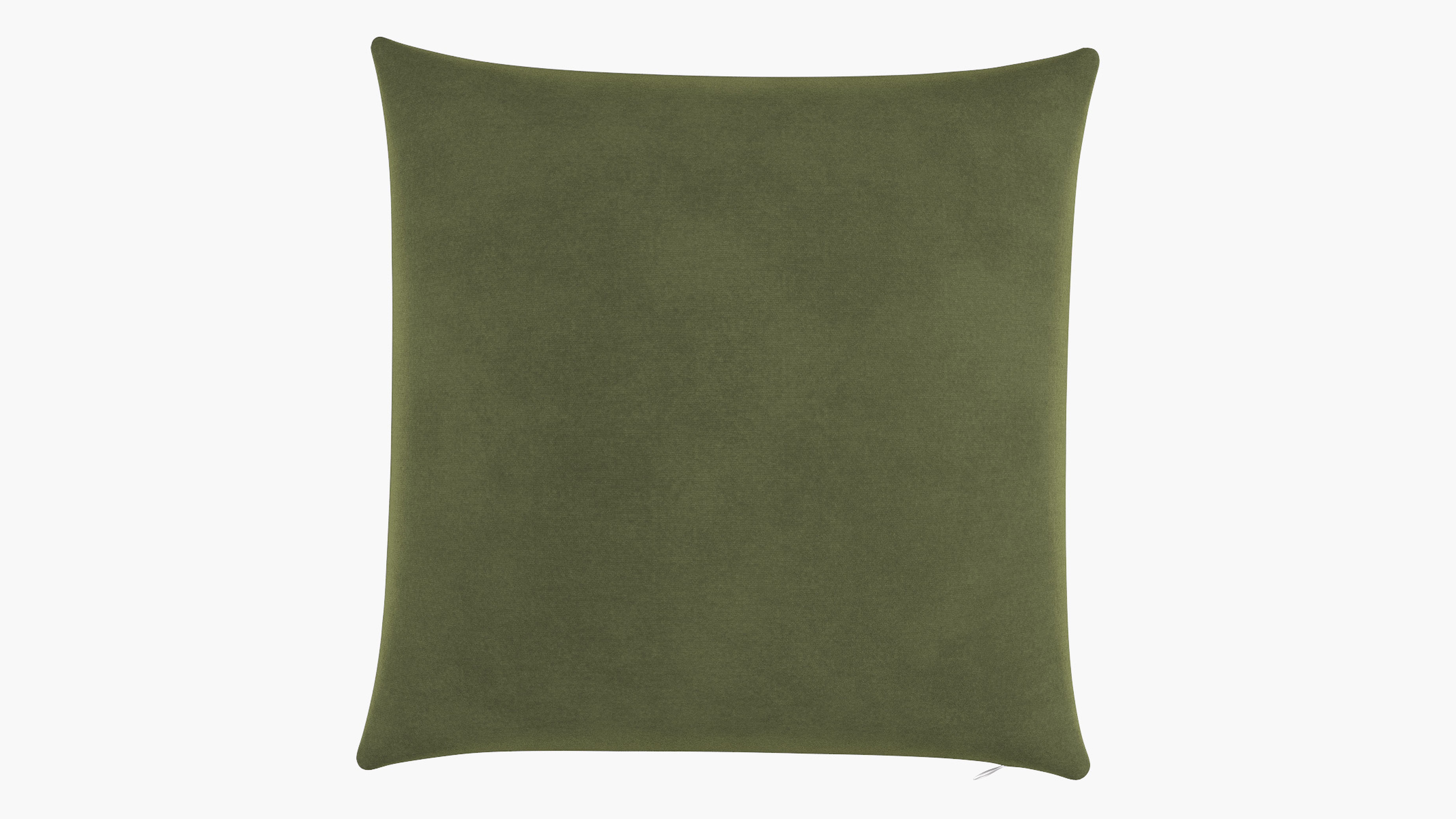 Throw Pillow 22", Zucchini Luxe Velvet, 22" x 22" - The Inside